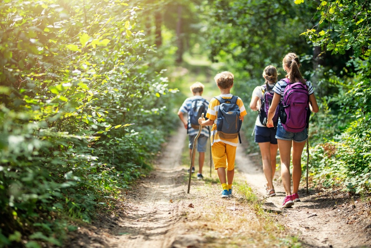 Familie von hinten beim Wandern durch den Wald Familie von hinten beim Wandern durch den Wald