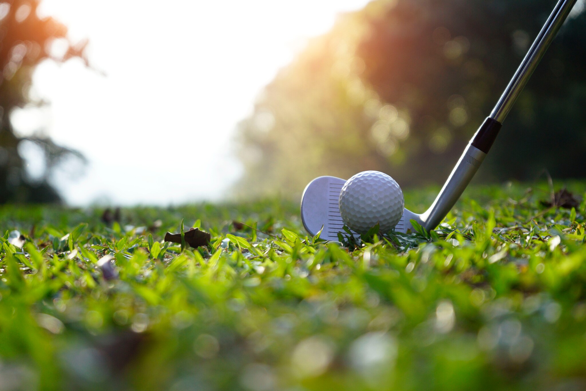 Golfschläger am Golfball zum Abschlag auf grünem Rasen