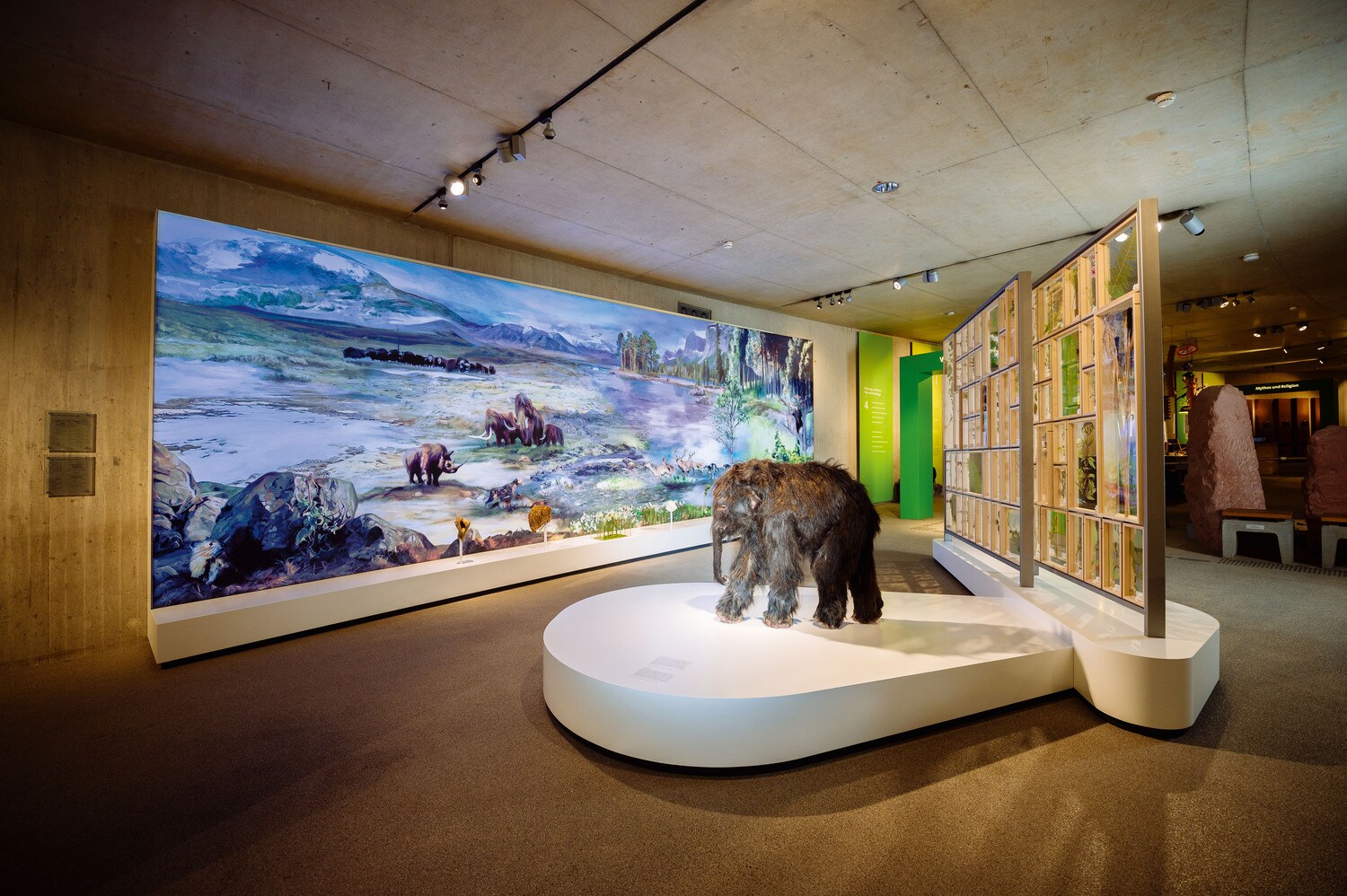 Ein Ausstellungsraum mit Darstellungen von Mammuts Ein Ausstellungsraum mit Darstellungen von Mammuts