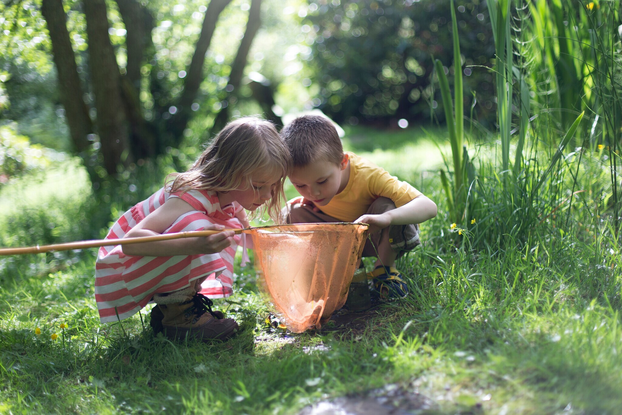 Zwei Kinder auf einer Wiese blicken in einen Kescher