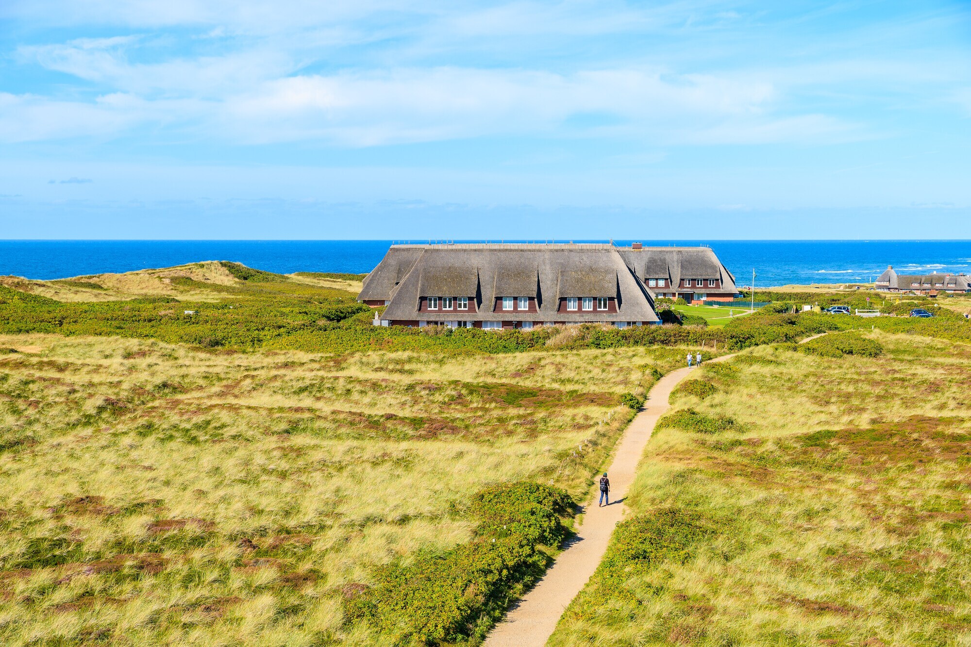 Dünenlandschaft auf Sylt