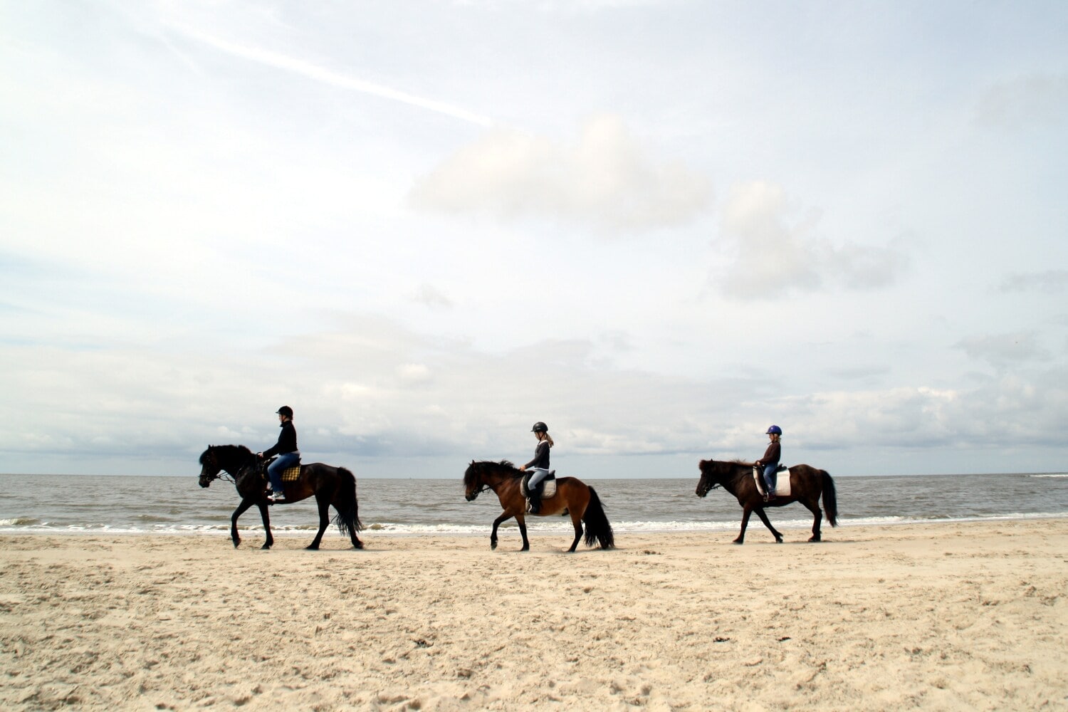Drei Personen auf Pferden reiten den Strand von Langeoog entlang Drei Personen auf Pferden reiten den Strand von Langeoog entlang