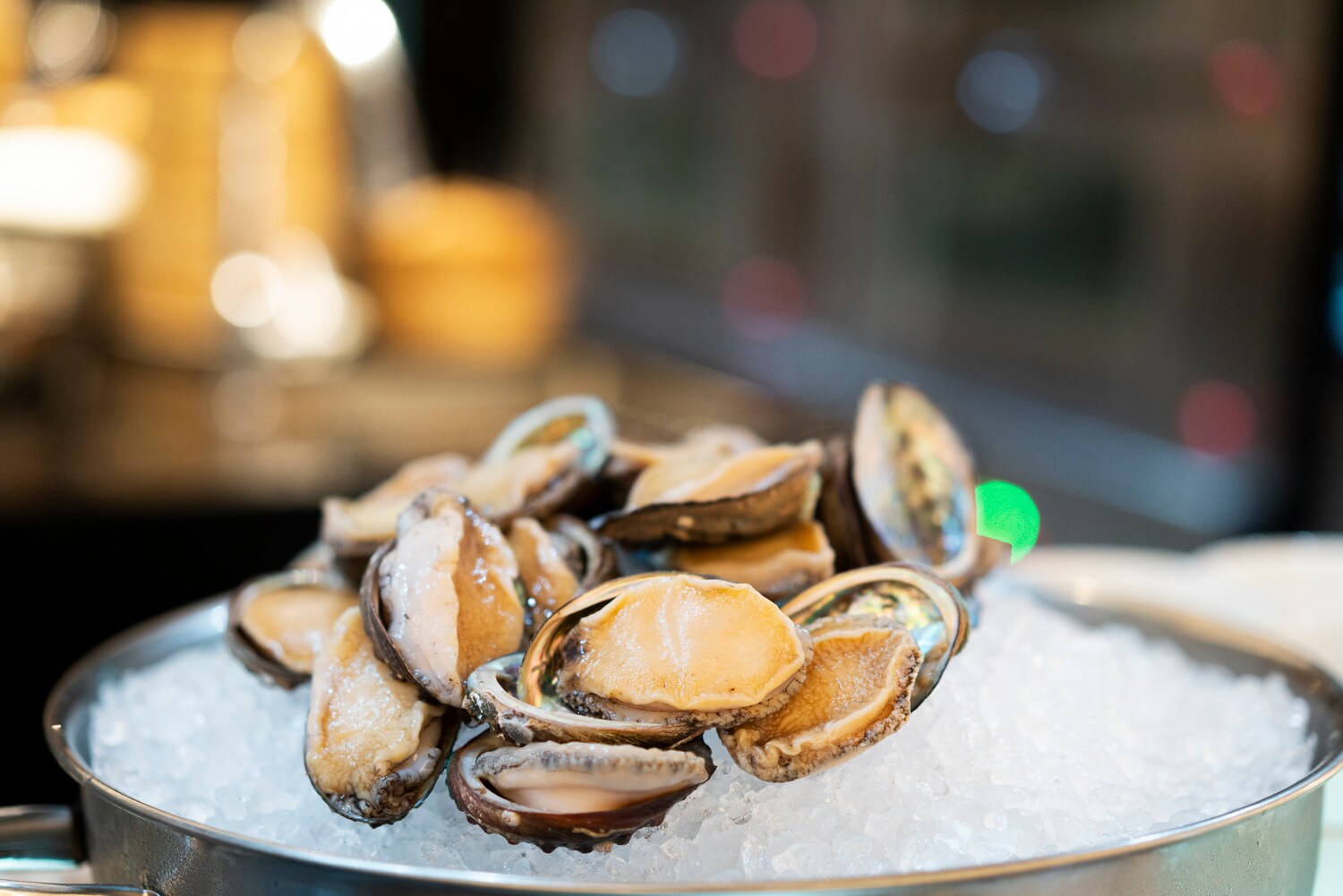 Das Innere einer Schnecke auf einer Schüssel voller Crushed Ice drapiert