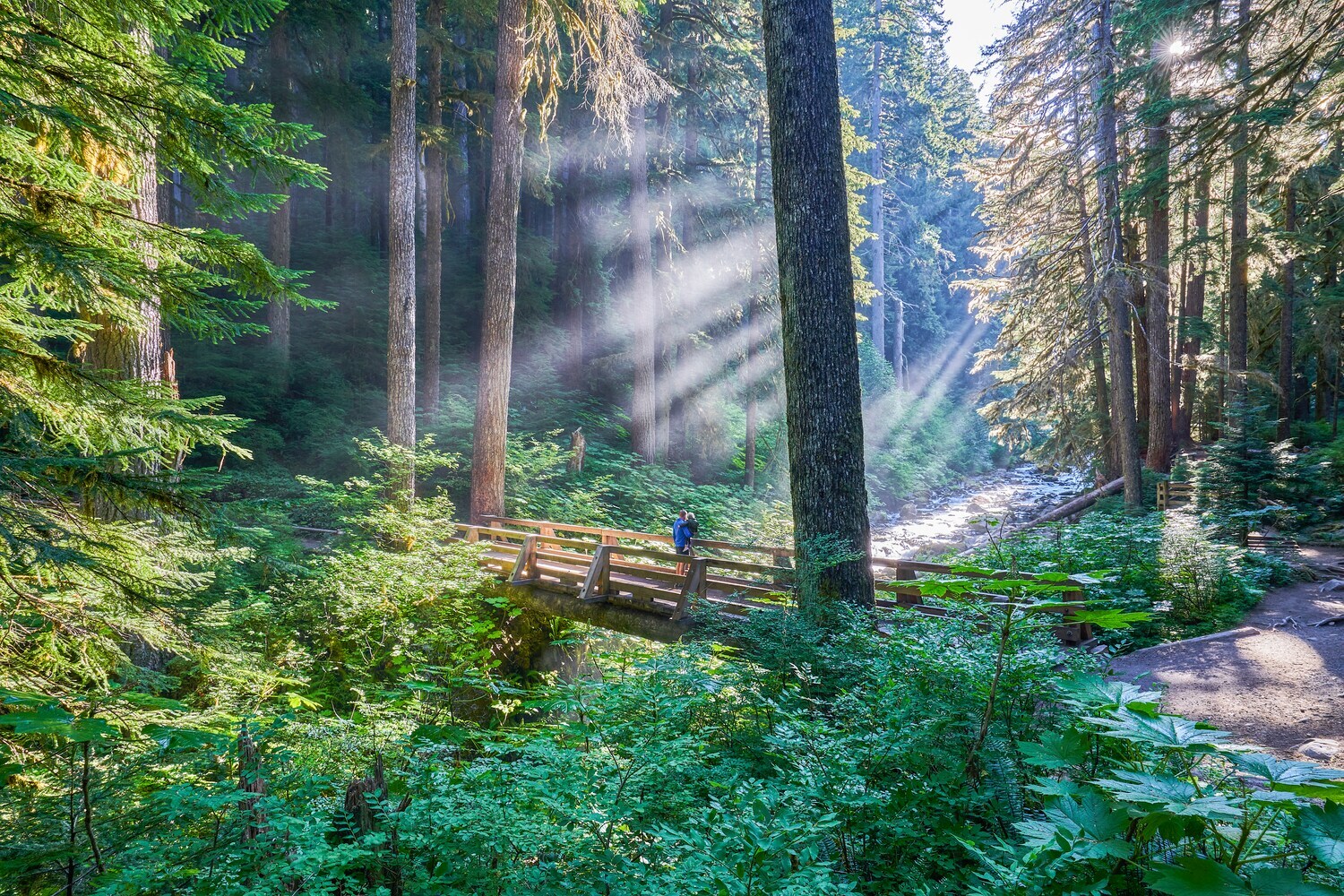 Vater und Tochter auf einer Brücke im Wald