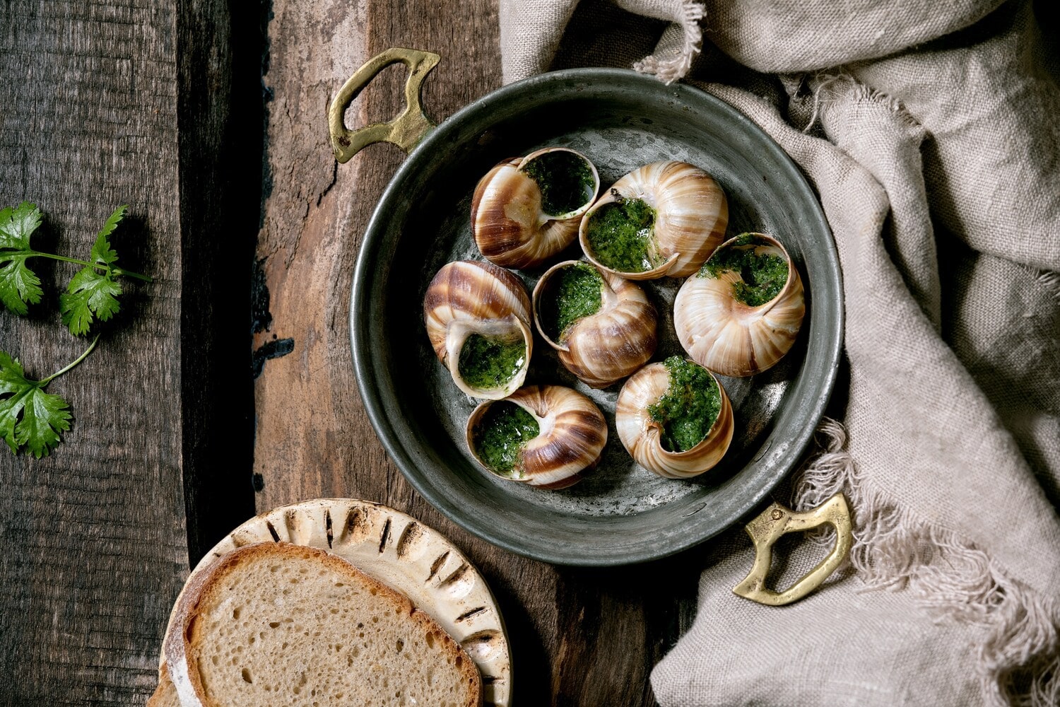 Gekochte Weinbergschnecken mit Kräutern in einer gusseisernen Schale angerichtet, dazu eine Scheibe Brot Gekochte Weinbergschnecken mit Kräutern in einer gusseisernen Schale angerichtet, dazu eine Scheibe Brot