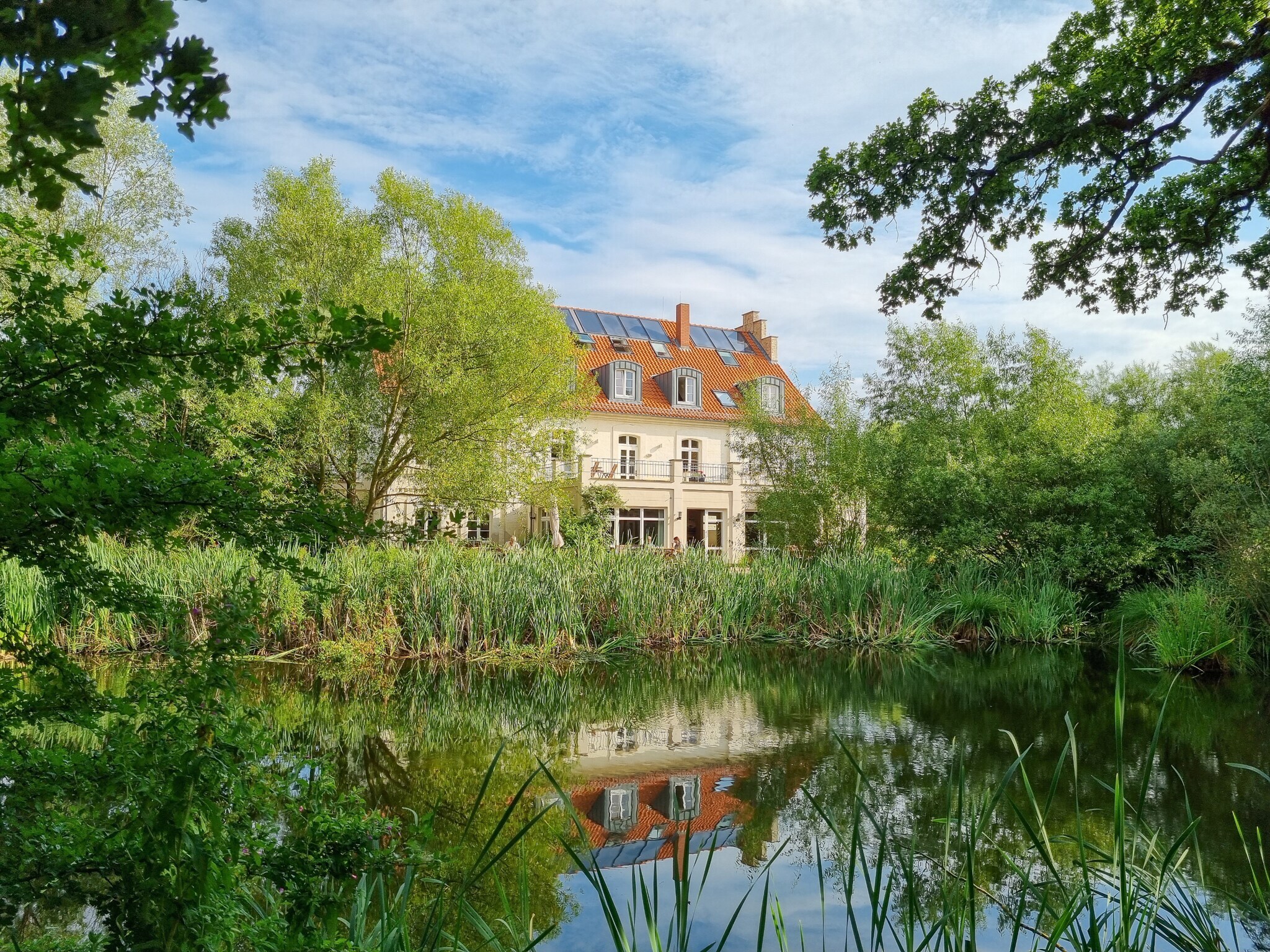 Ein bewachsener Teich vor einem Gutshaus Ein bewachsener Teich vor einem Gutshaus