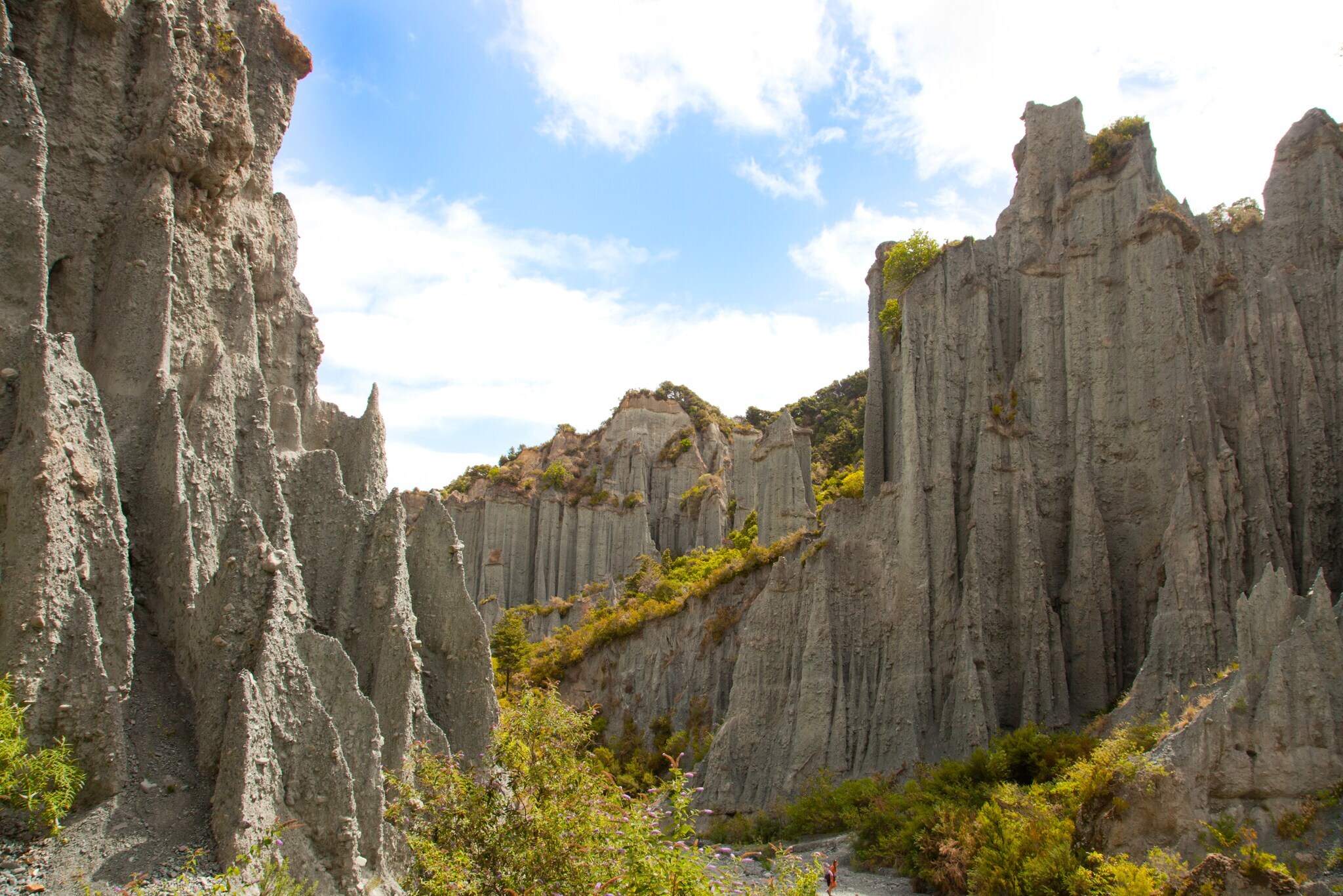 Die Felssäulen Putangirua Pinnacles in Neuseeland