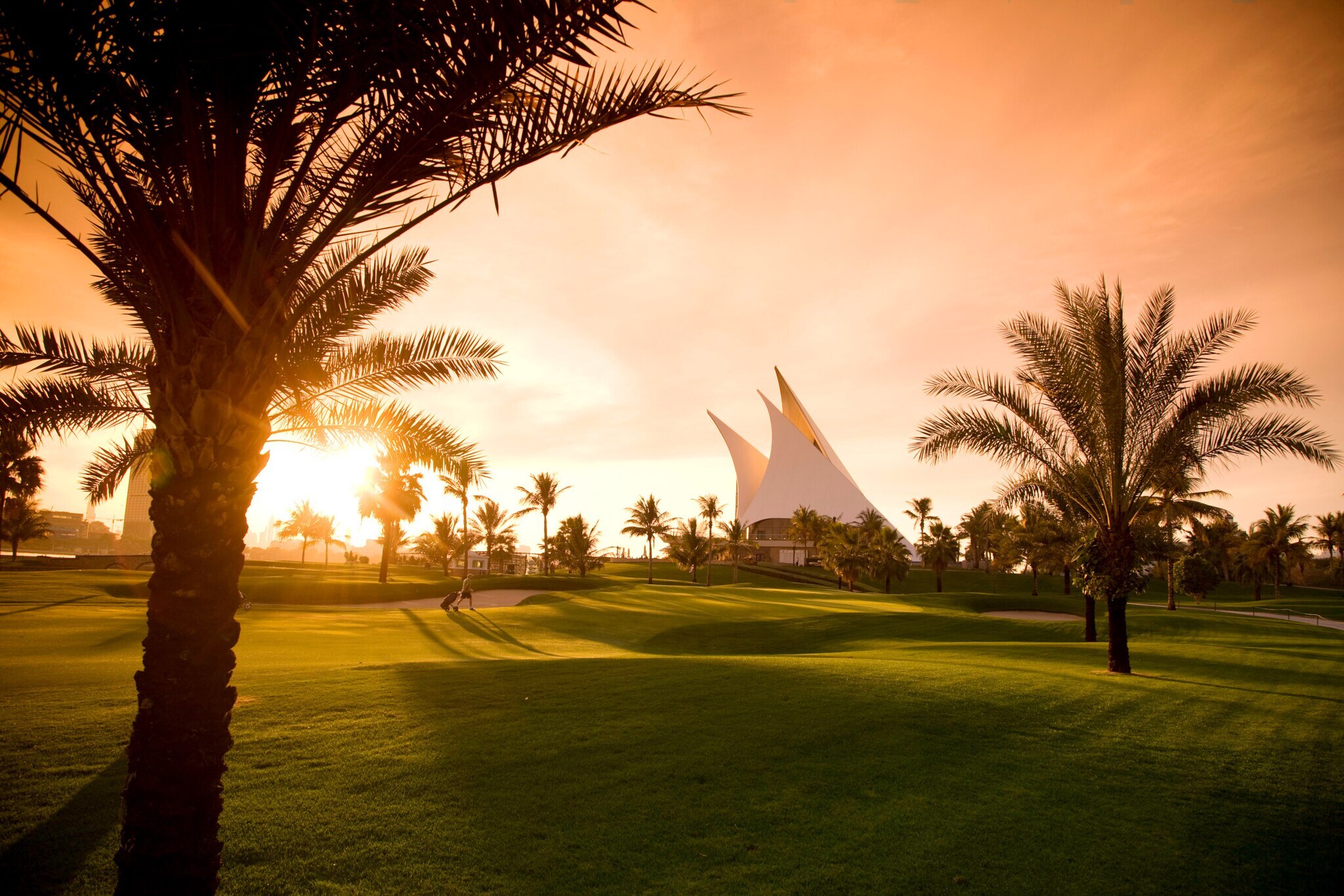 Ein gepflegter Golfplatz mit Palmen im Abendlicht
