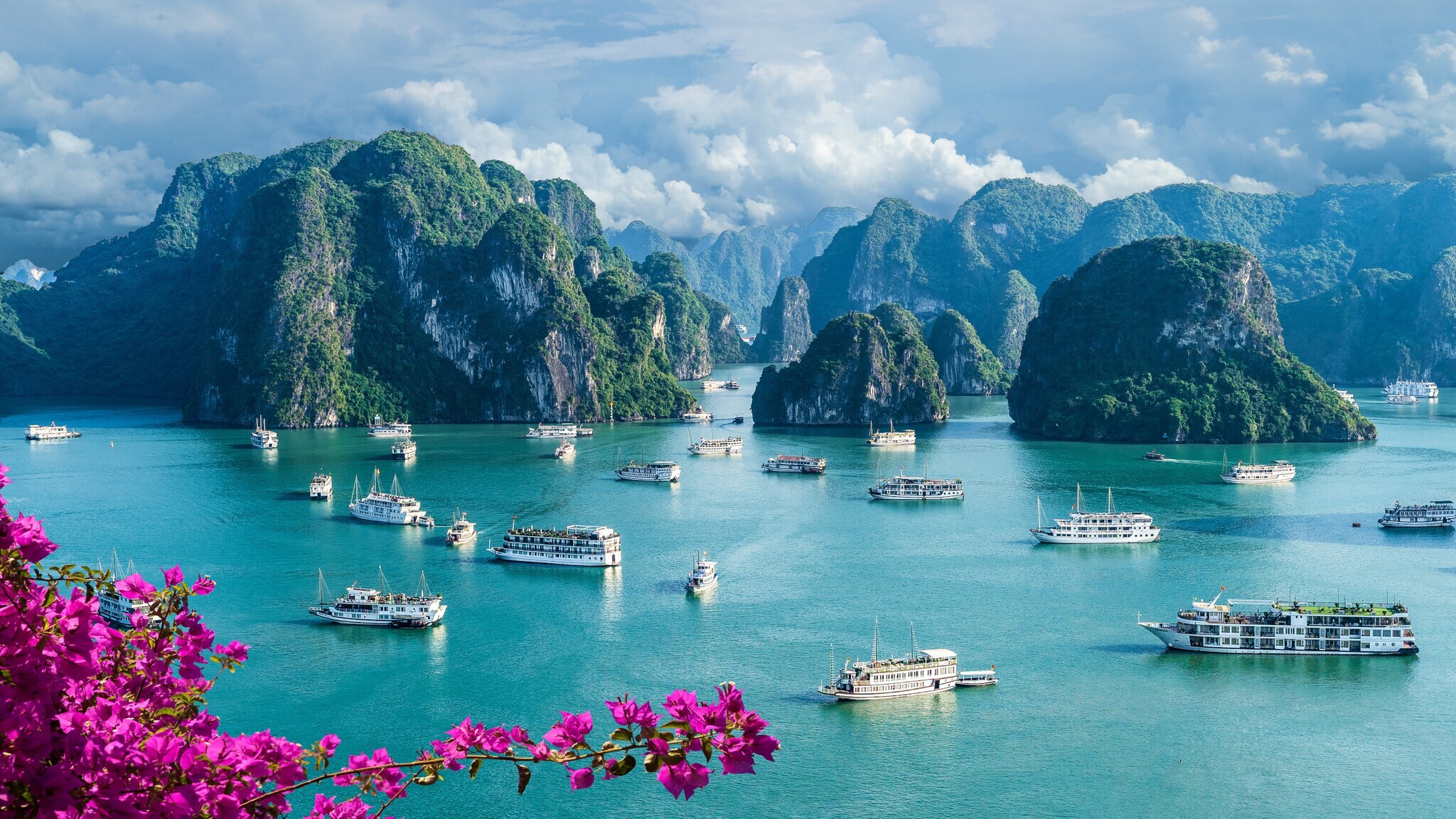 Panorama des Weltwunders der Natur Halong-Bucht mit zahlreichen Booten Panorama des Weltwunders der Natur Halong-Bucht mit zahlreichen Booten