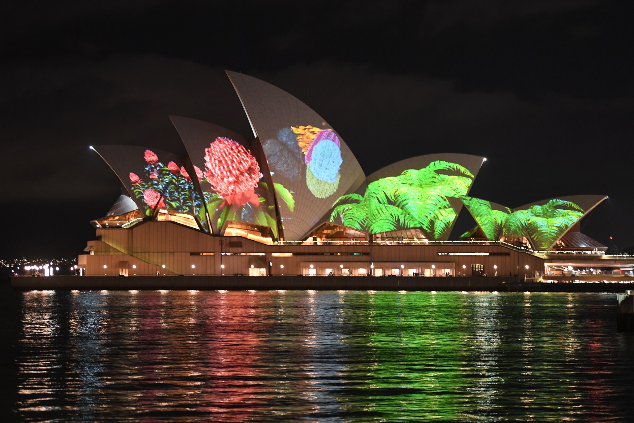 Eine Lichtinstallation am Opernhaus von Sydney