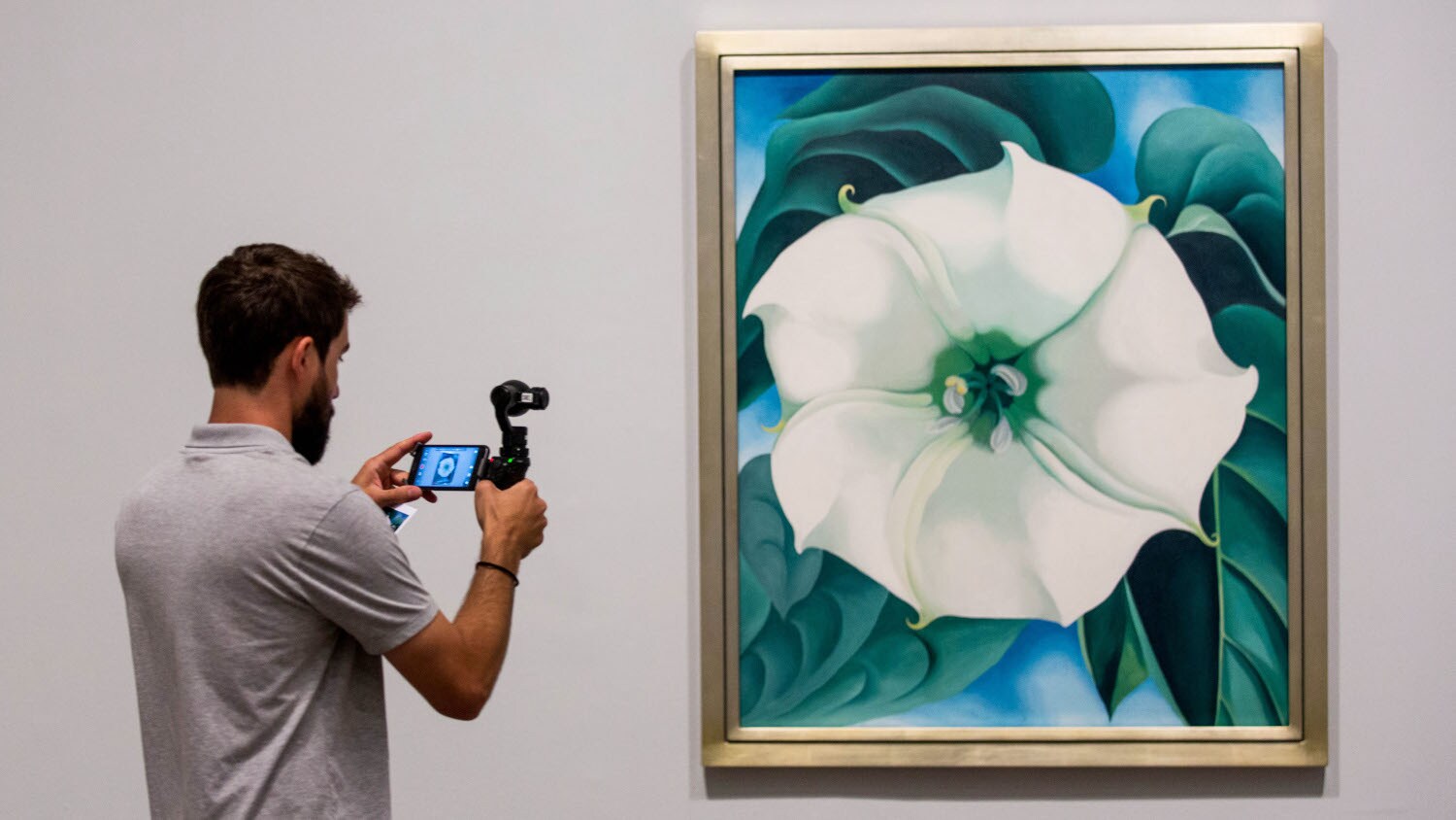 Ein Mann fotografiert ein Gemälde mit weißer Blüte der Künstlerin Georgia O‘Keeffe mit seinem Smartphone in einer Ausstellung