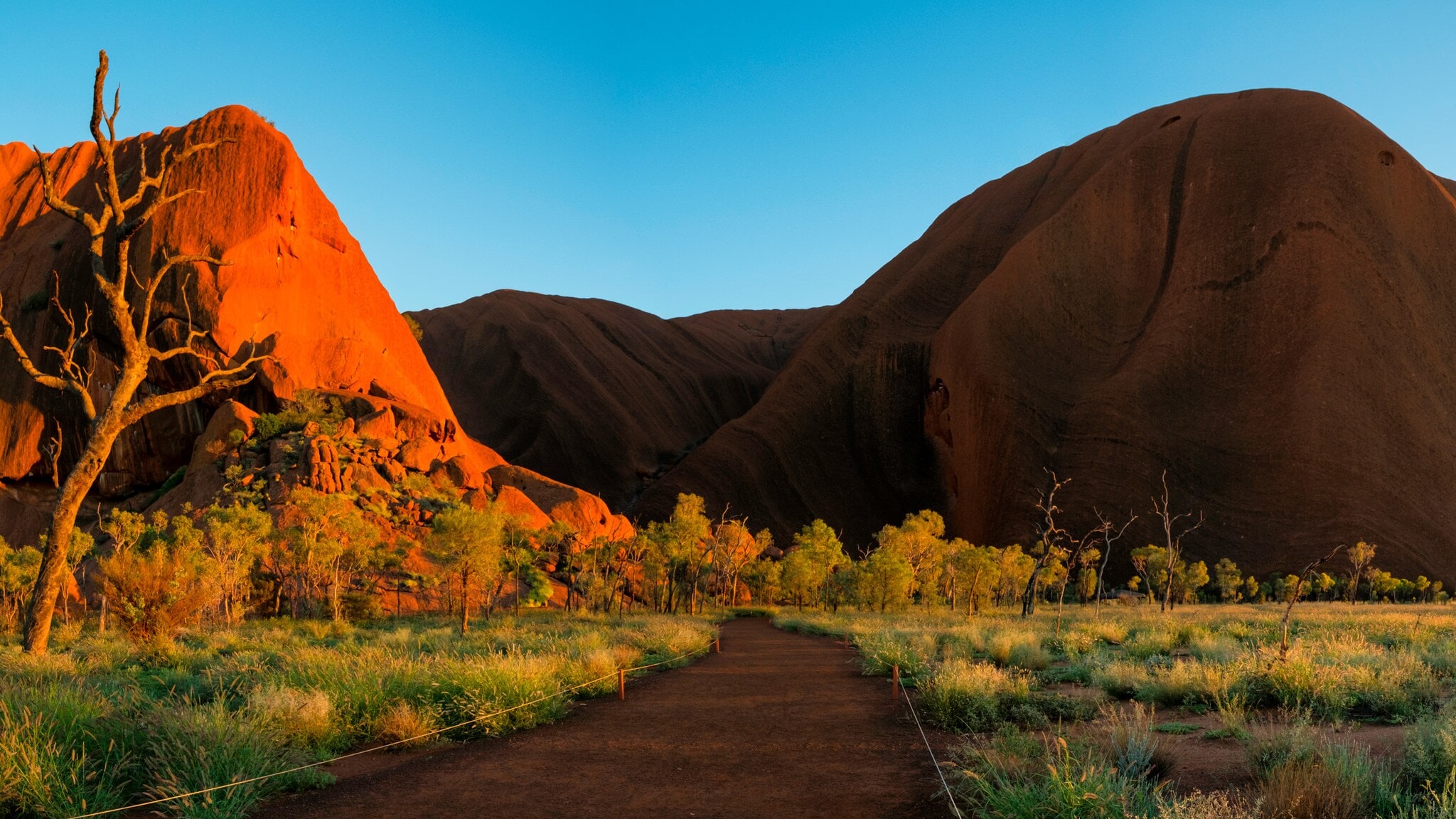 Eine große, rote Felsformation in der Abendsonne, im Vordergrund ein Sandweg durch grünes Steppengras Eine große, rote Felsformation in der Abendsonne, im Vordergrund ein Sandweg durch grünes Steppengras