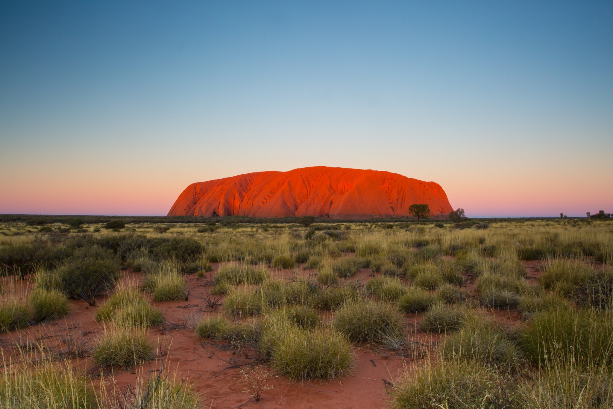 Der gigantische, rote Berg Uluru in einer Steppenlandschaft Der gigantische, rote Berg Uluru in einer Steppenlandschaft