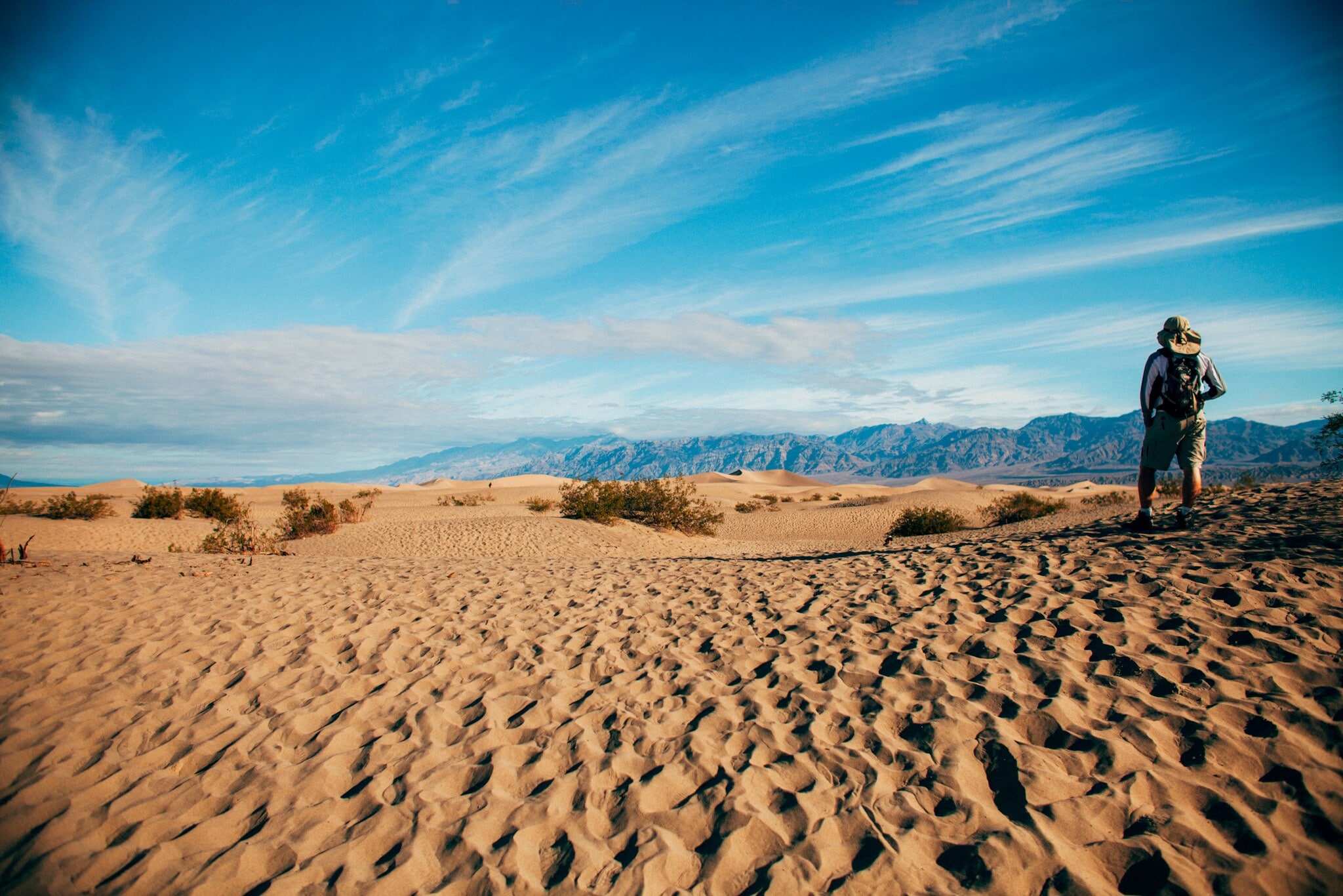 EinWanderer auf einer Düne EinWanderer auf einer Düne