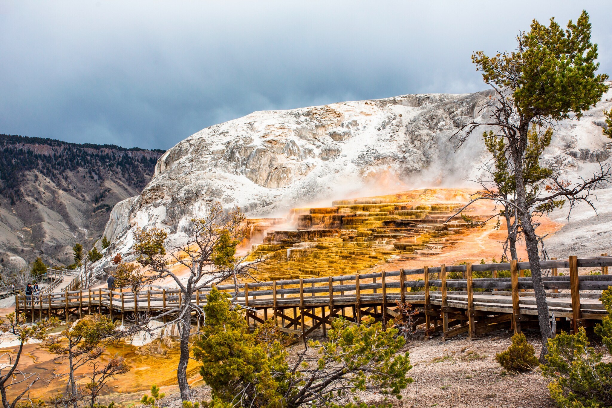 Ein Holzweg führt im Yellowstone-Nationalpark an heißen Quellen vorbei