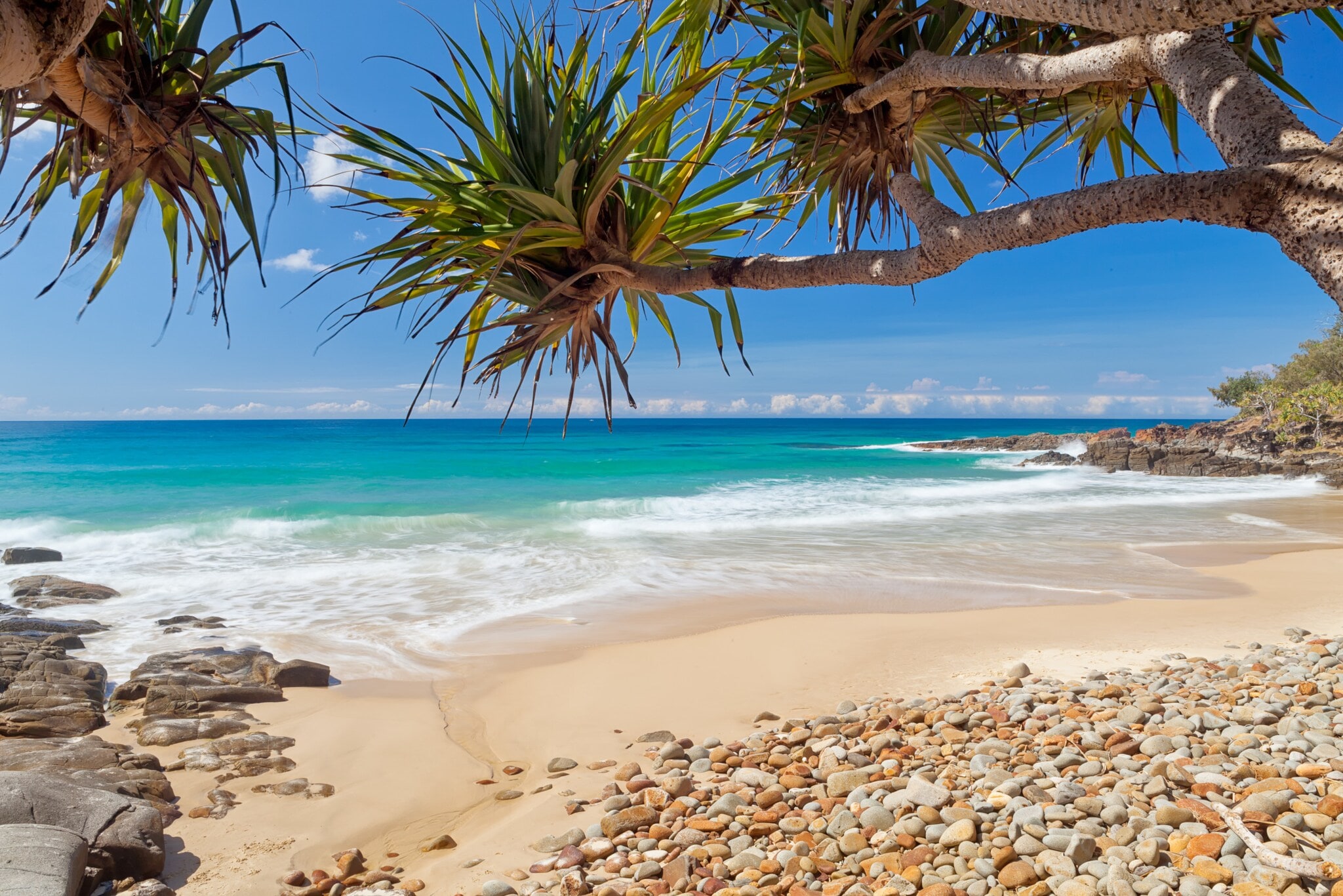 Ein Strand mit Palmen und sanfter Meeresbrandung Ein Strand mit Palmen und sanfter Meeresbrandung