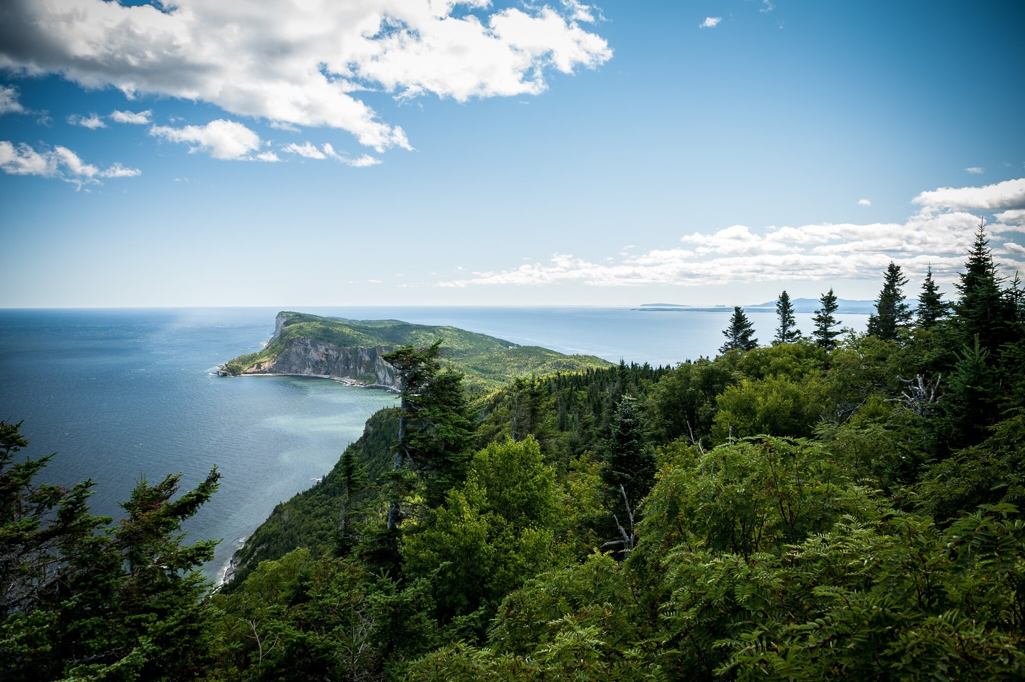 Blick auf eine Landzunge im Meer des Forillon-Nationalparks in Kanada Blick auf eine Landzunge im Meer des Forillon-Nationalparks in Kanada