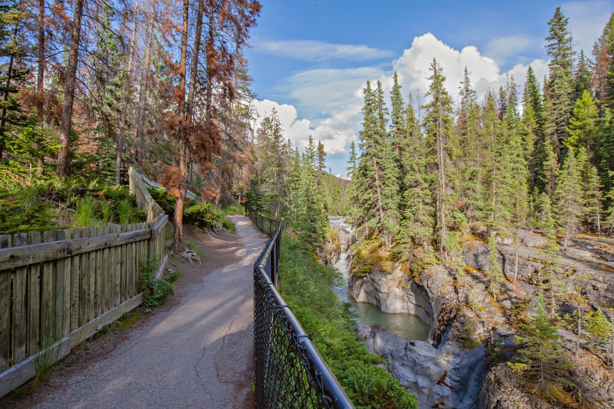 Blick auf eine Landschaft mit Wanderweg an einem Fluss im Jasper-Nationalpark in Kanada