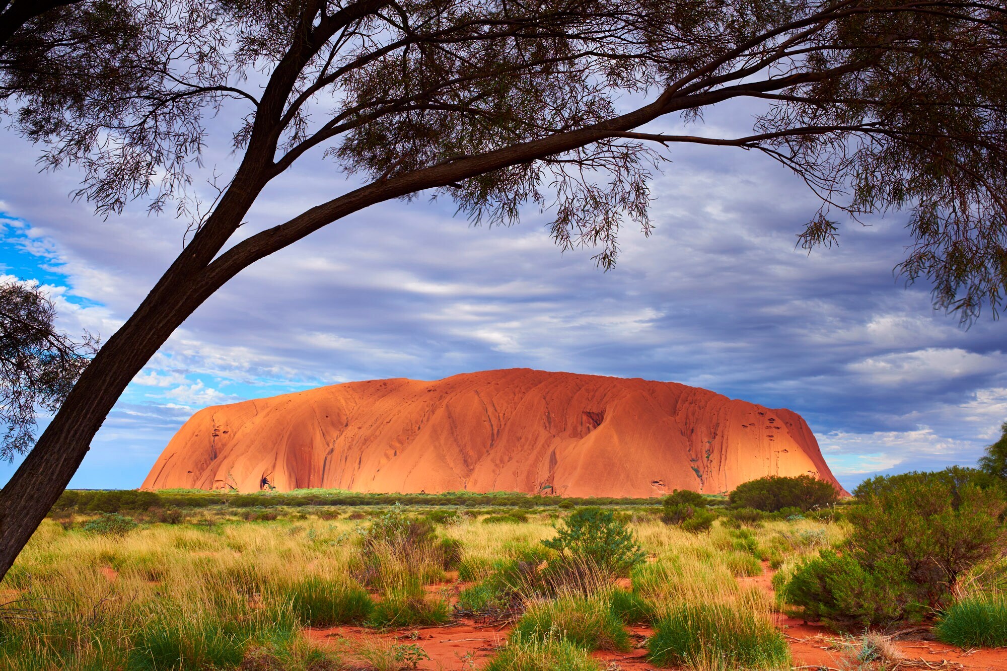 Der rote Uluru-Fels in der Grassteppe Australiens Der rote Uluru-Fels in der Grassteppe Australiens