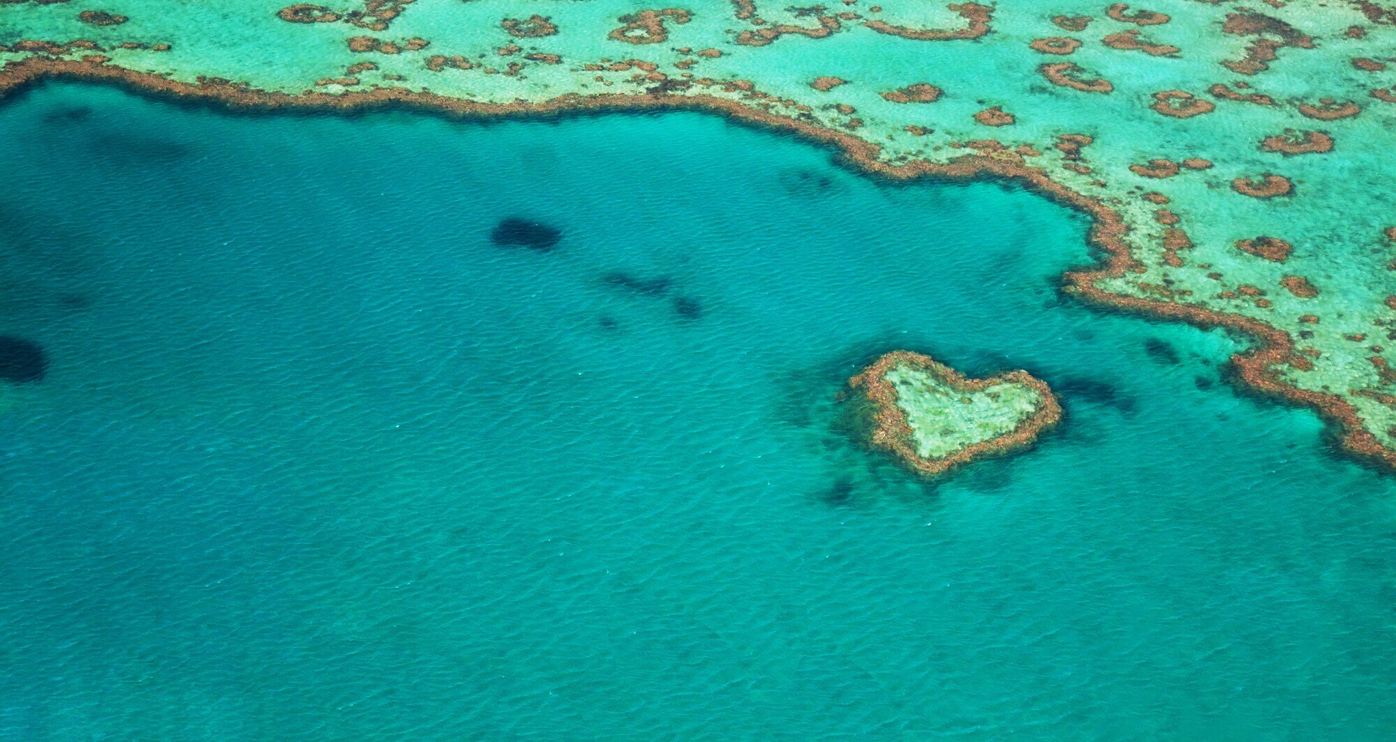 Herzförmiges Riff im türkisblauen Wasser am Great Barrier Reef aus der Luft