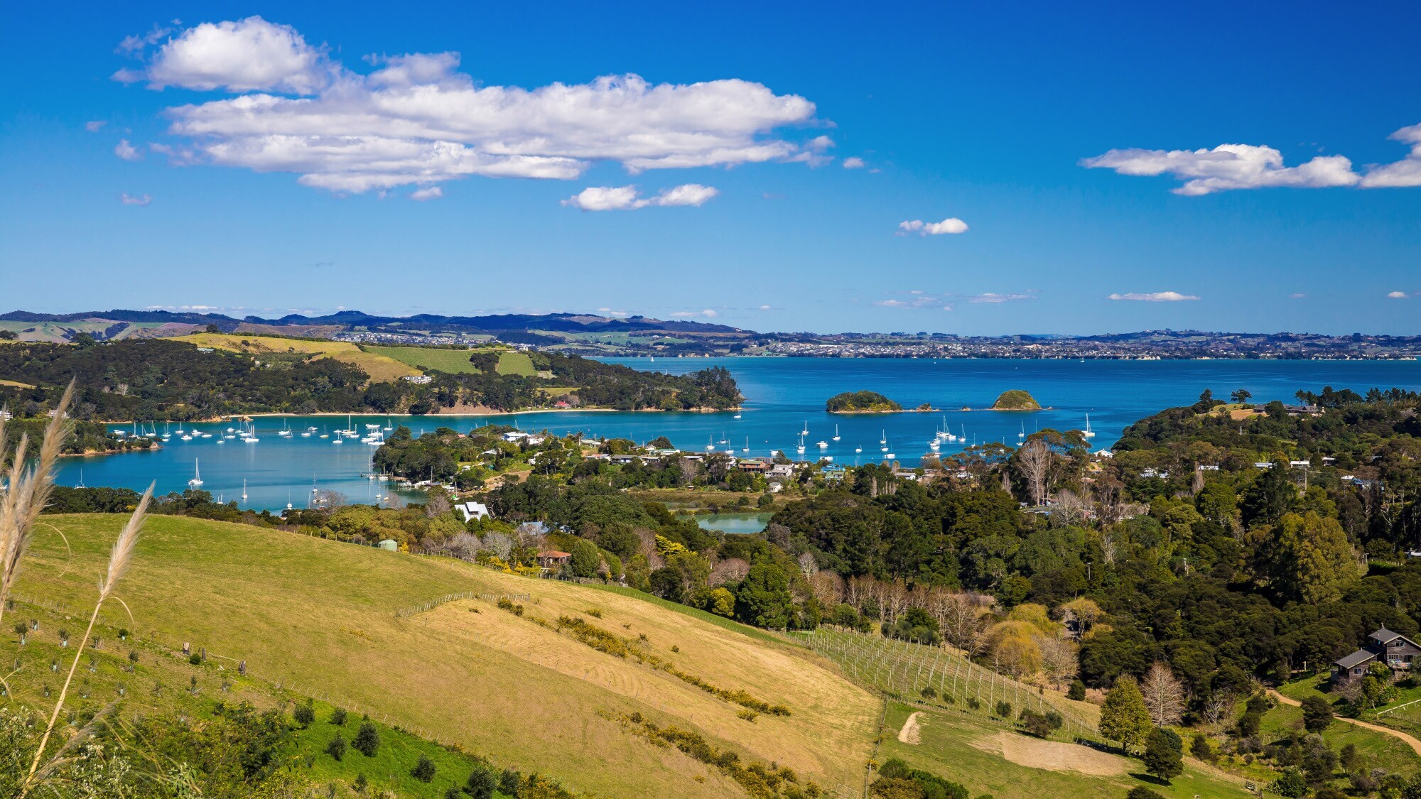 Panorama einer bewaldeten Bucht mit Weinbergen und Segelbooten im Wasser Panorama einer bewaldeten Bucht mit Weinbergen und Segelbooten im Wasser