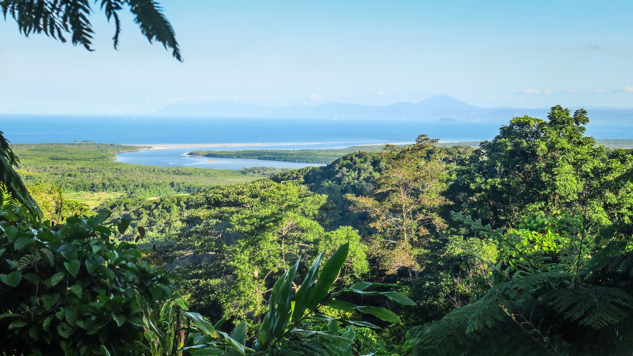Tropisches Regenwaldgebiet am Meer