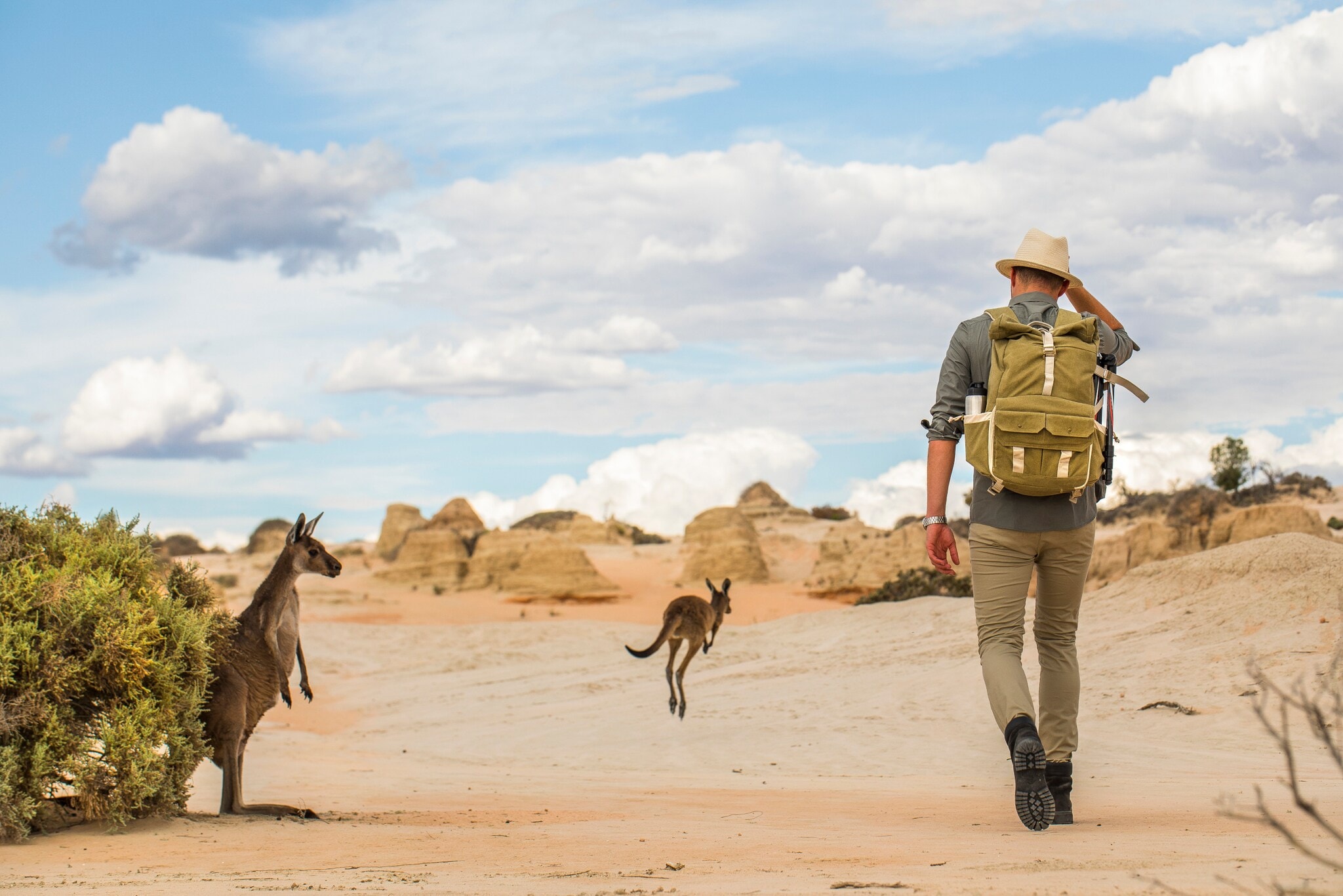 Rückansicht eines Mannes mit Rucksack, der durch eine Wüstenlandschaft mit Kängurus im Outback Australiens wandert Rückansicht eines Mannes mit Rucksack, der durch eine Wüstenlandschaft mit Kängurus im Outback Australiens wandert