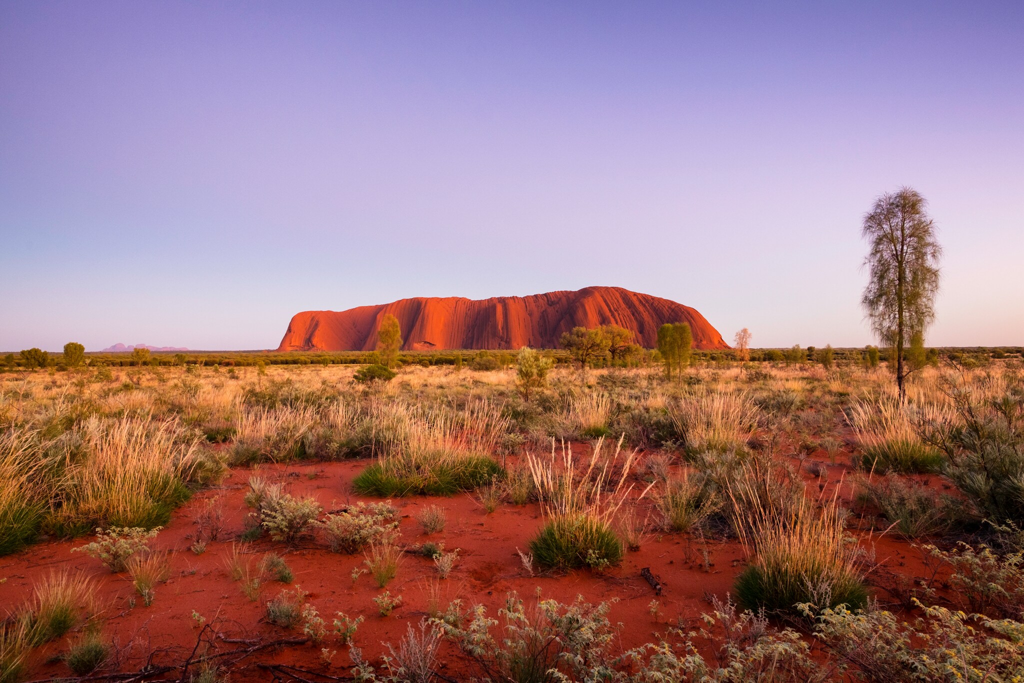 Der rote Uluru-Fels im Outback Australiens