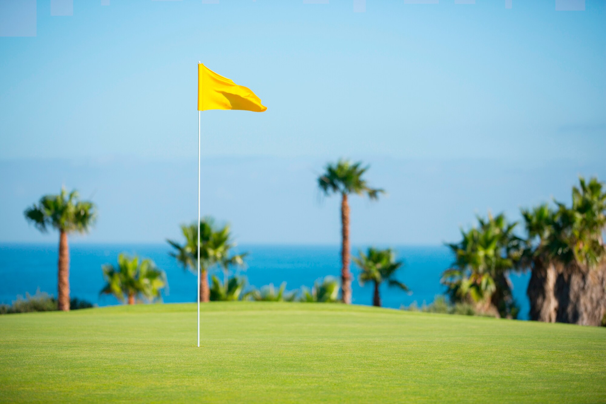 Ein Golfplatz mit Blick auf das Meer, im Hintergrund Palmen, in der Mitte eine gelbe Flagge an einem Loch