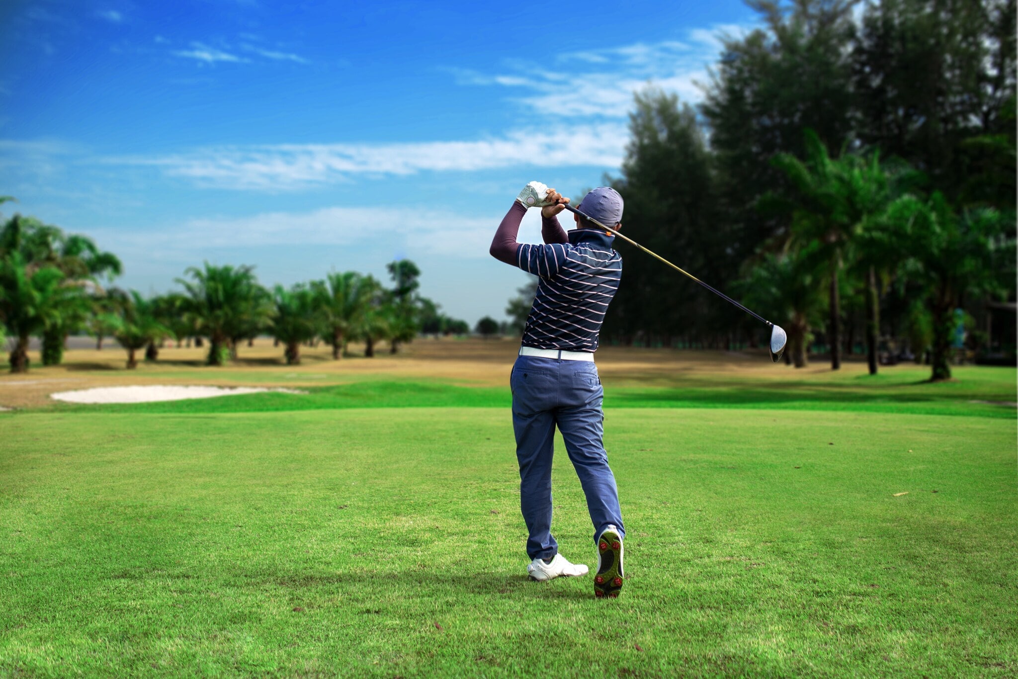 Ein Golfspieler von hinten auf einem Golfplatz, im Hintergrund Palmen Ein Golfspieler von hinten auf einem Golfplatz, im Hintergrund Palmen