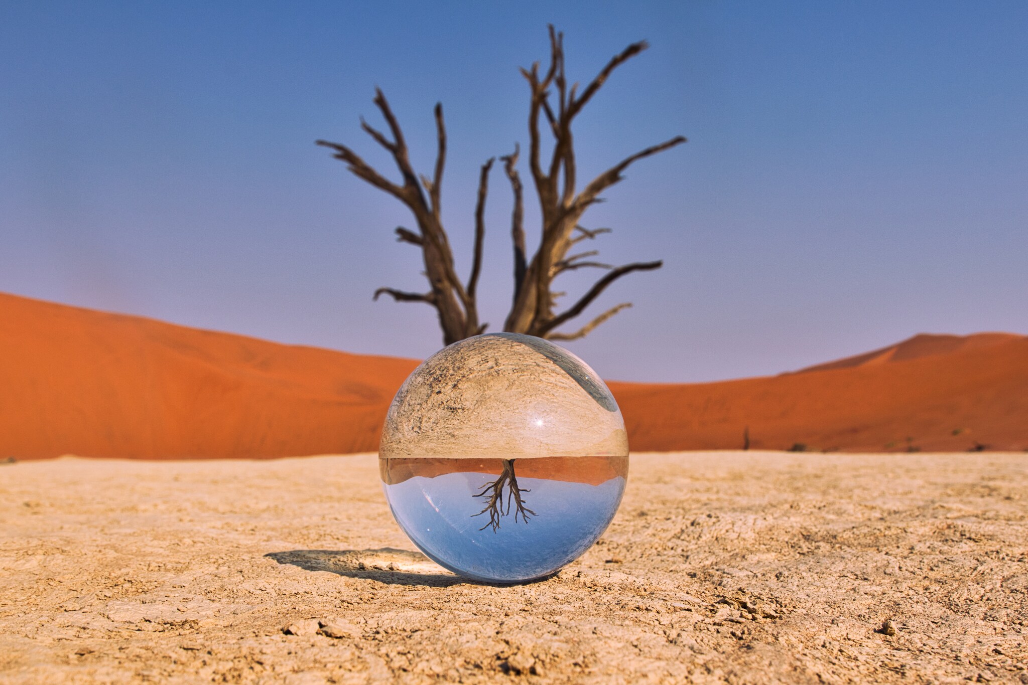 Eine Glaskugel in einer Wüste, die einen Baum verkehrtherum abbildet