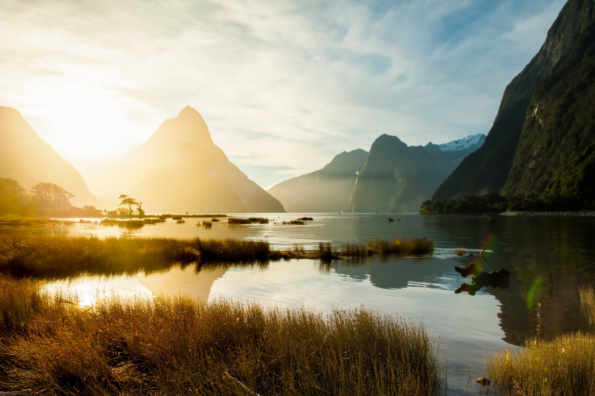 Der Fjord Milford Sound im Fiordland-Nationalpark