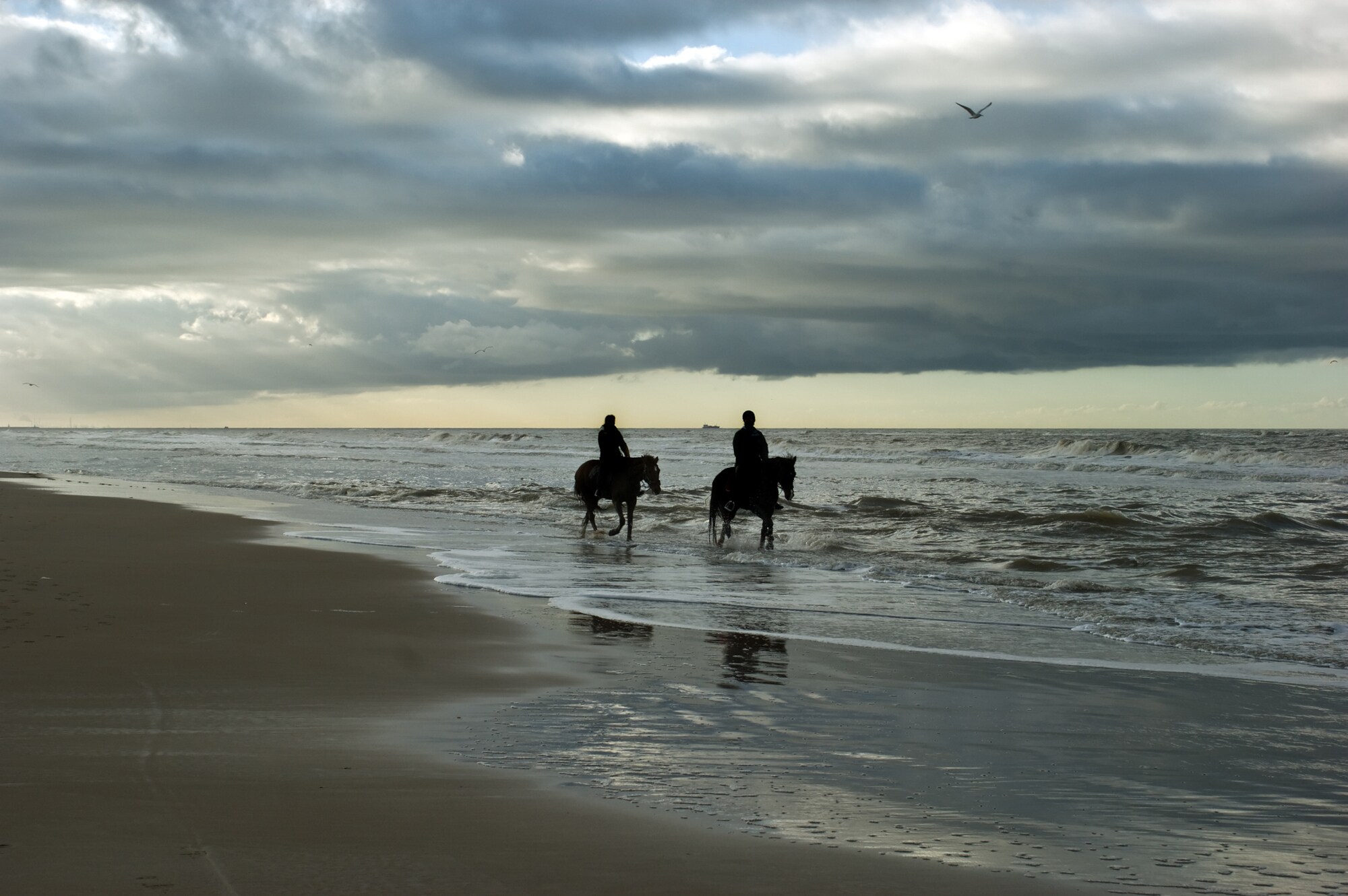 Zwei Menschen reiten in der Dämmerung auf dem Nordseestrand. Zwei Menschen reiten in der Dämmerung auf dem Nordseestrand.