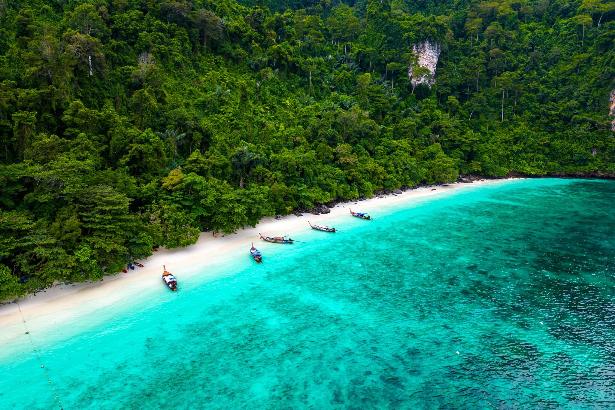 Holzboote an einem Strand direkt am Dschungel Holzboote an einem Strand direkt am Dschungel
