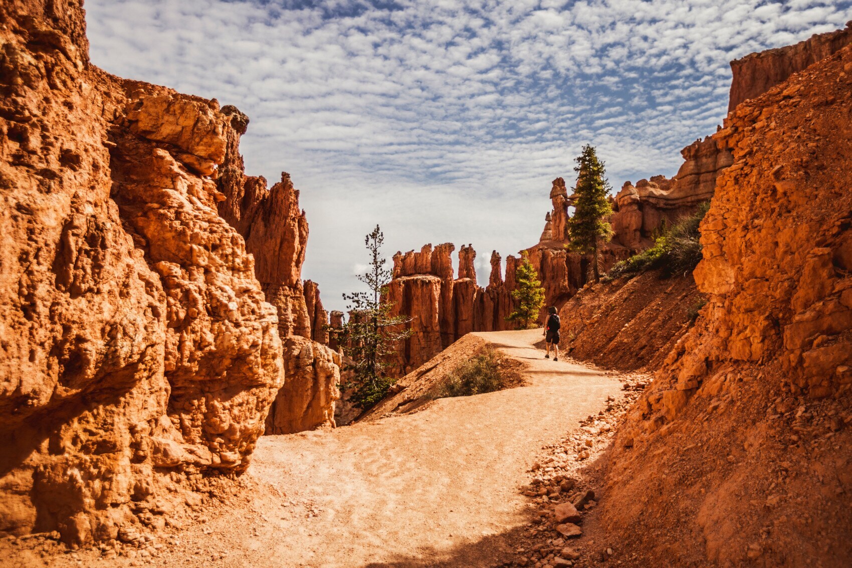Eine Person läuft auf einem Wanderweg im Bryce-Canyon-Nationalpark an Felsformationen entlang