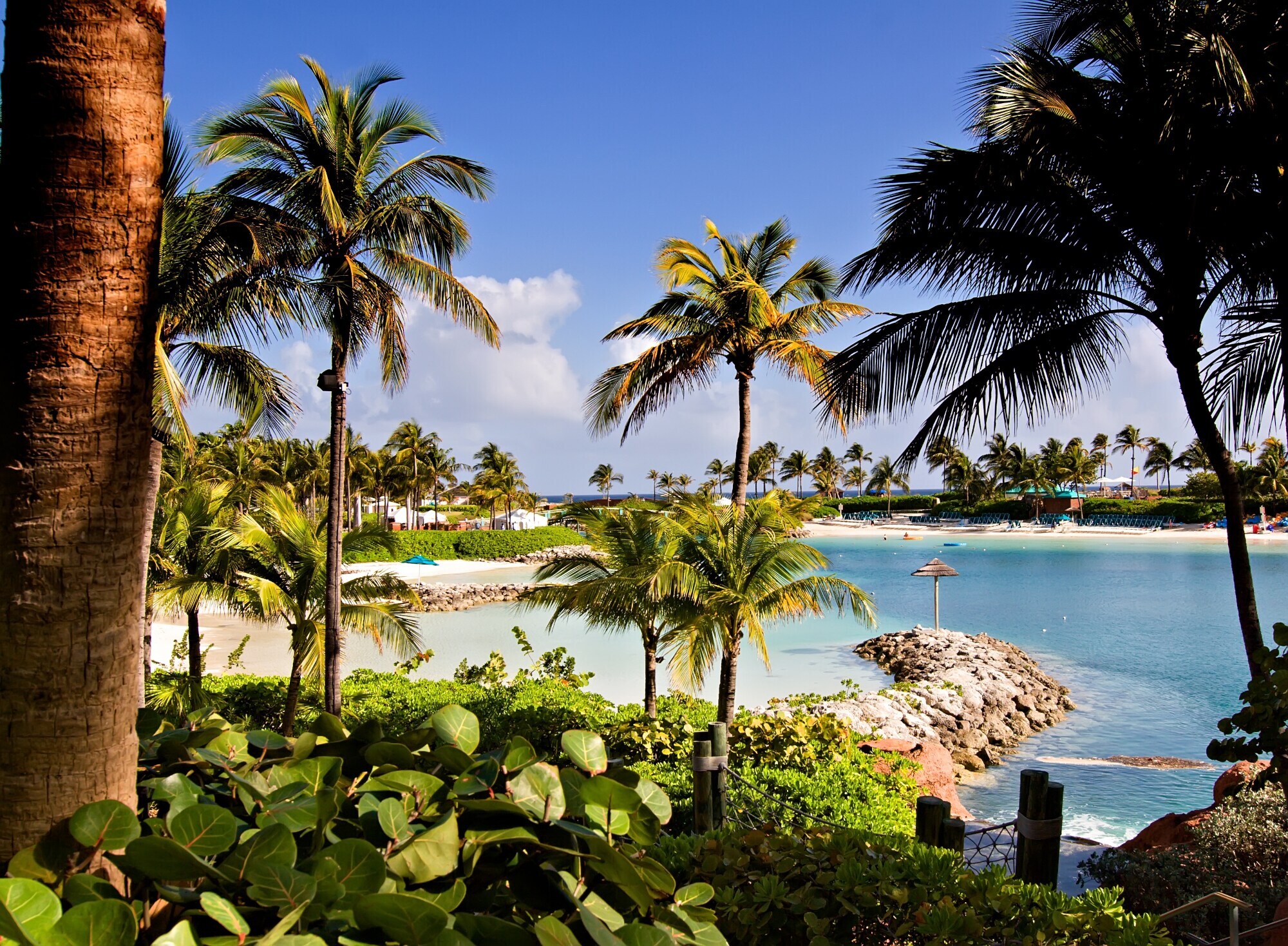 Tropische Bucht mit Palmen auf den Bahamas