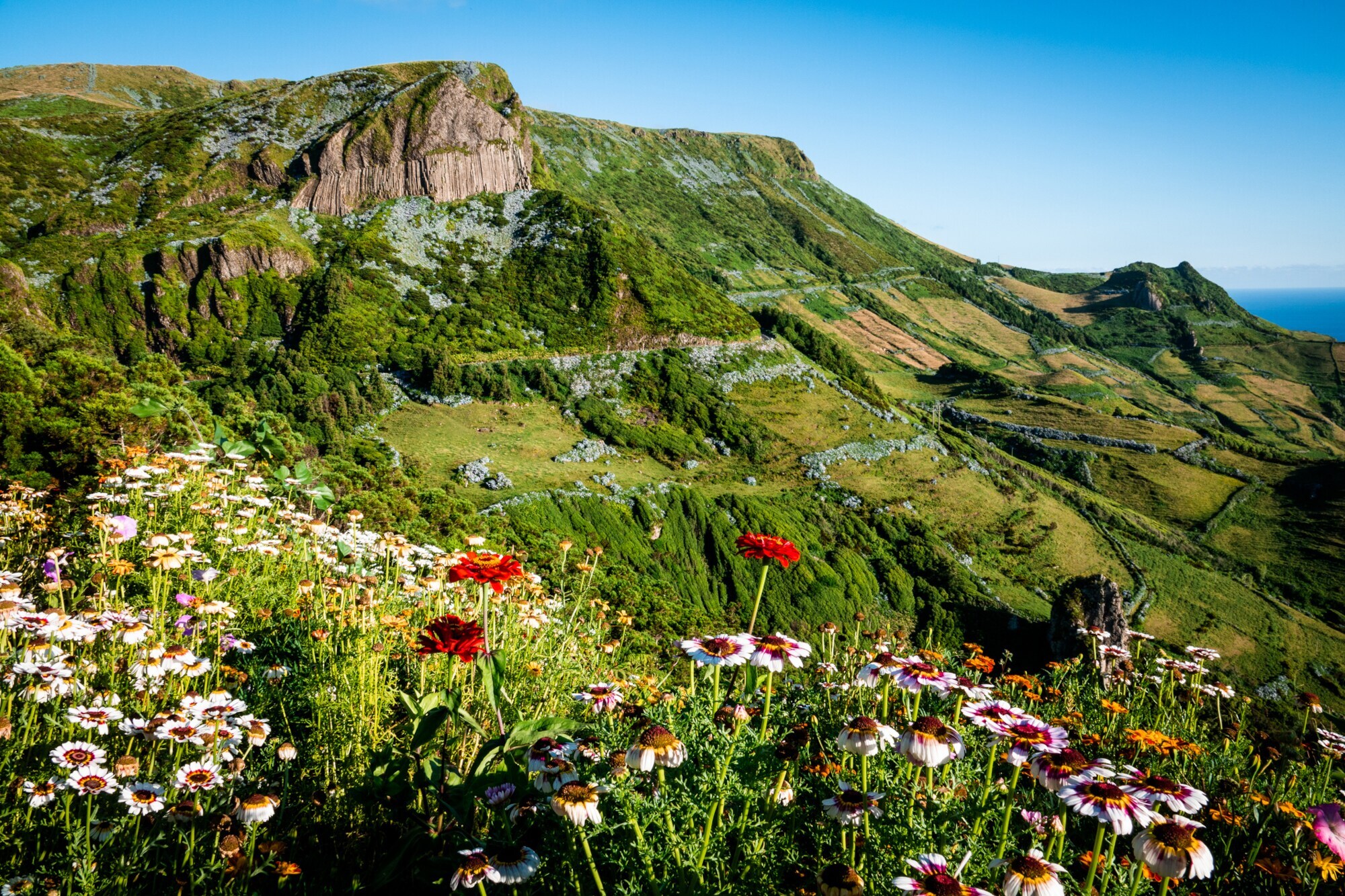 Panoramaaufnahme von Rocha dos Bordoes auf der Azoreninsel Flores.