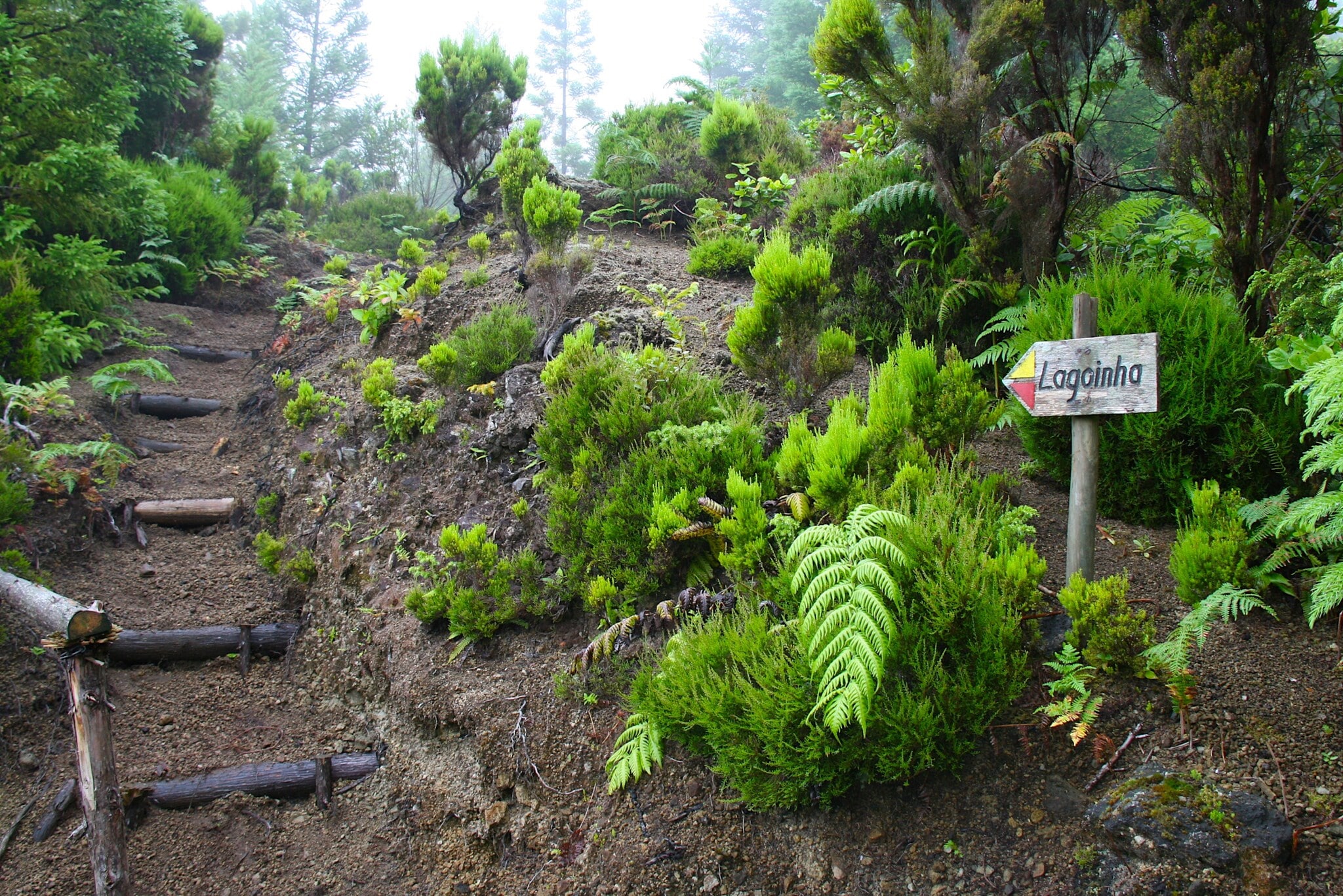 Wegweiser eines Wanderweges nach Lagoinha auf der Azoreninsel Faial. Wegweiser eines Wanderweges nach Lagoinha auf der Azoreninsel Faial.