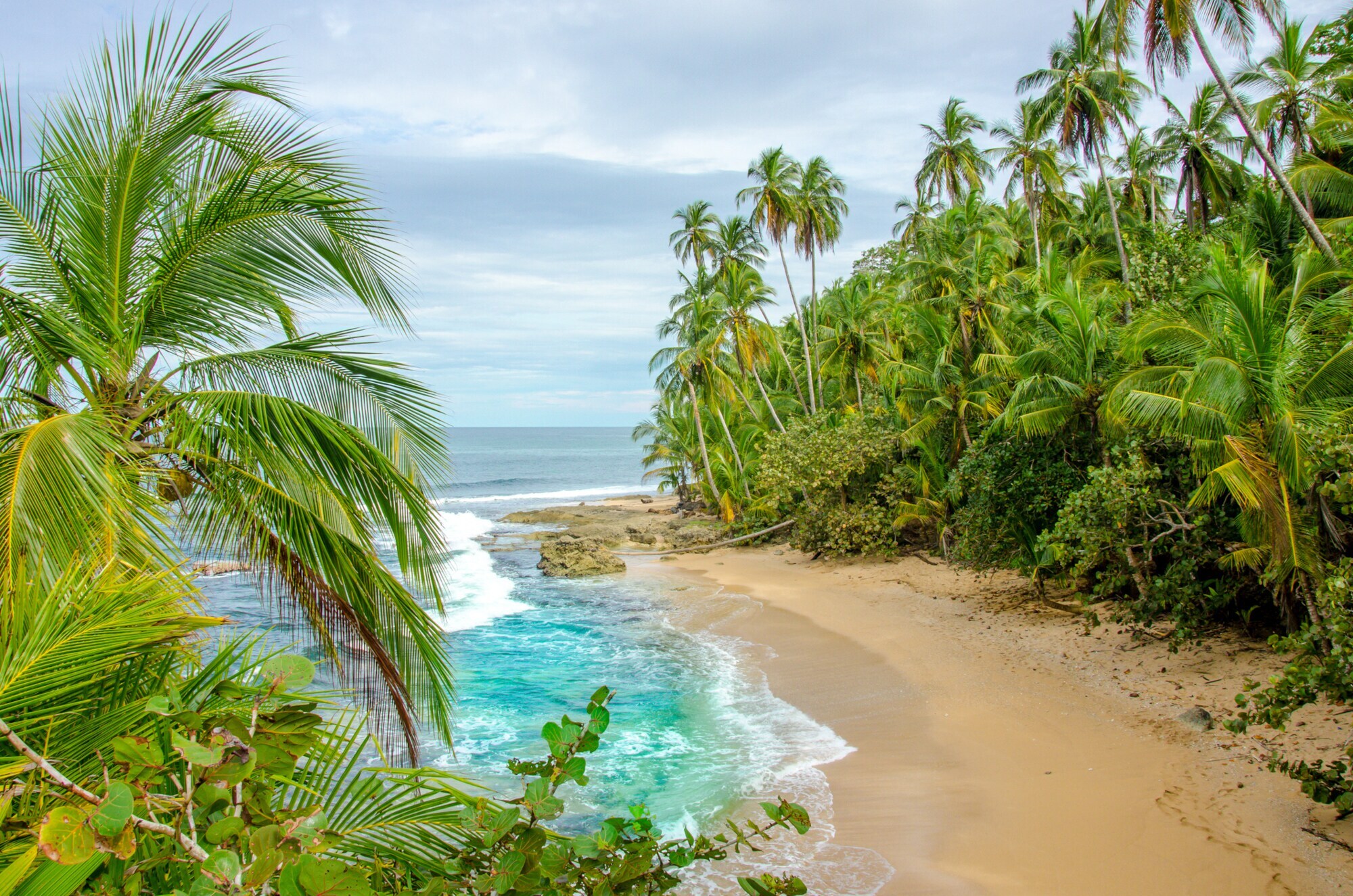 Ein Strand mit Palmen in Costa Rica