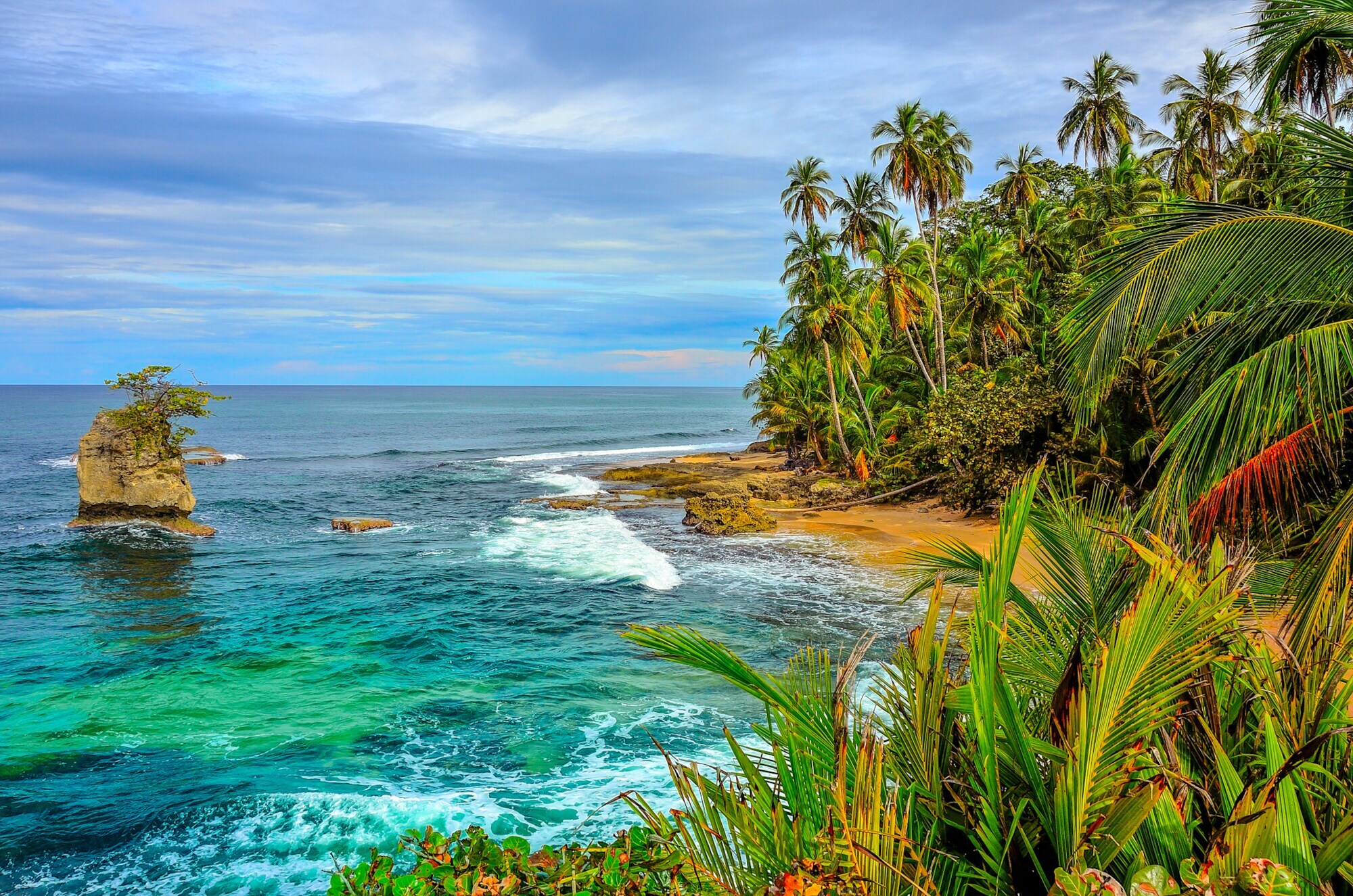 Karibischer Strand mit Palmen