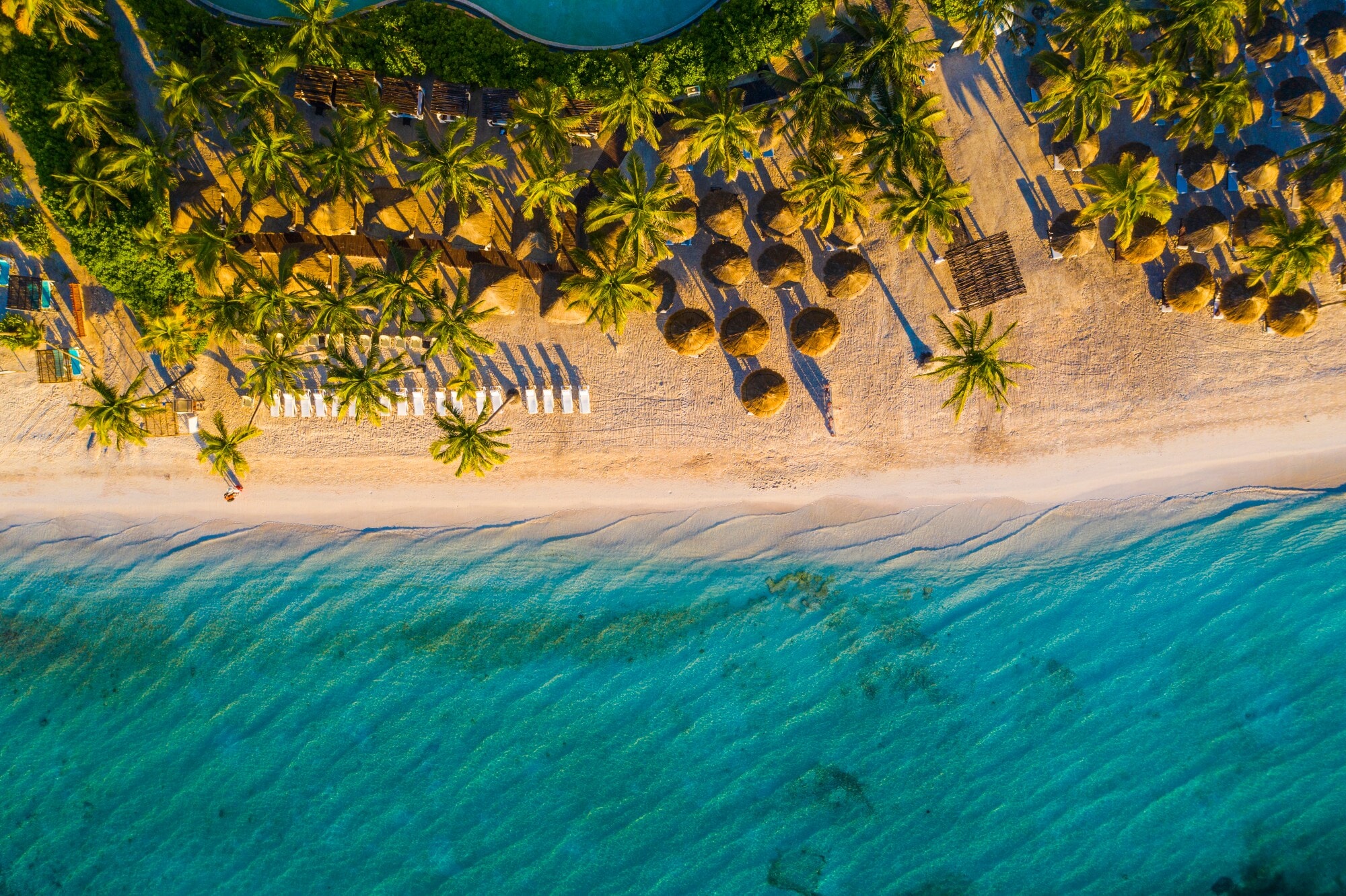 Tropischer Sandstrand mit Palmen und Badeliegen aus der Vogelperspektive Tropischer Sandstrand mit Palmen und Badeliegen aus der Vogelperspektive