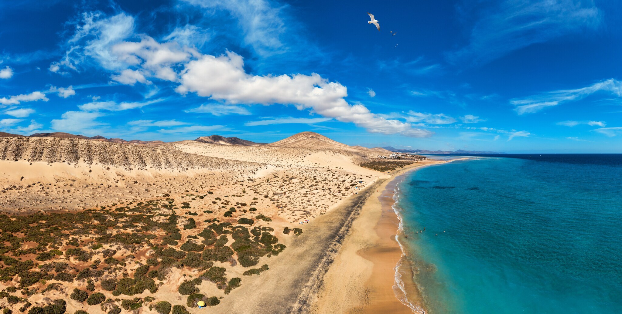 Luftaufnahme eines Strandes mit goldenem Sand und kristallklarem Meerwasser auf Fuerteventura.