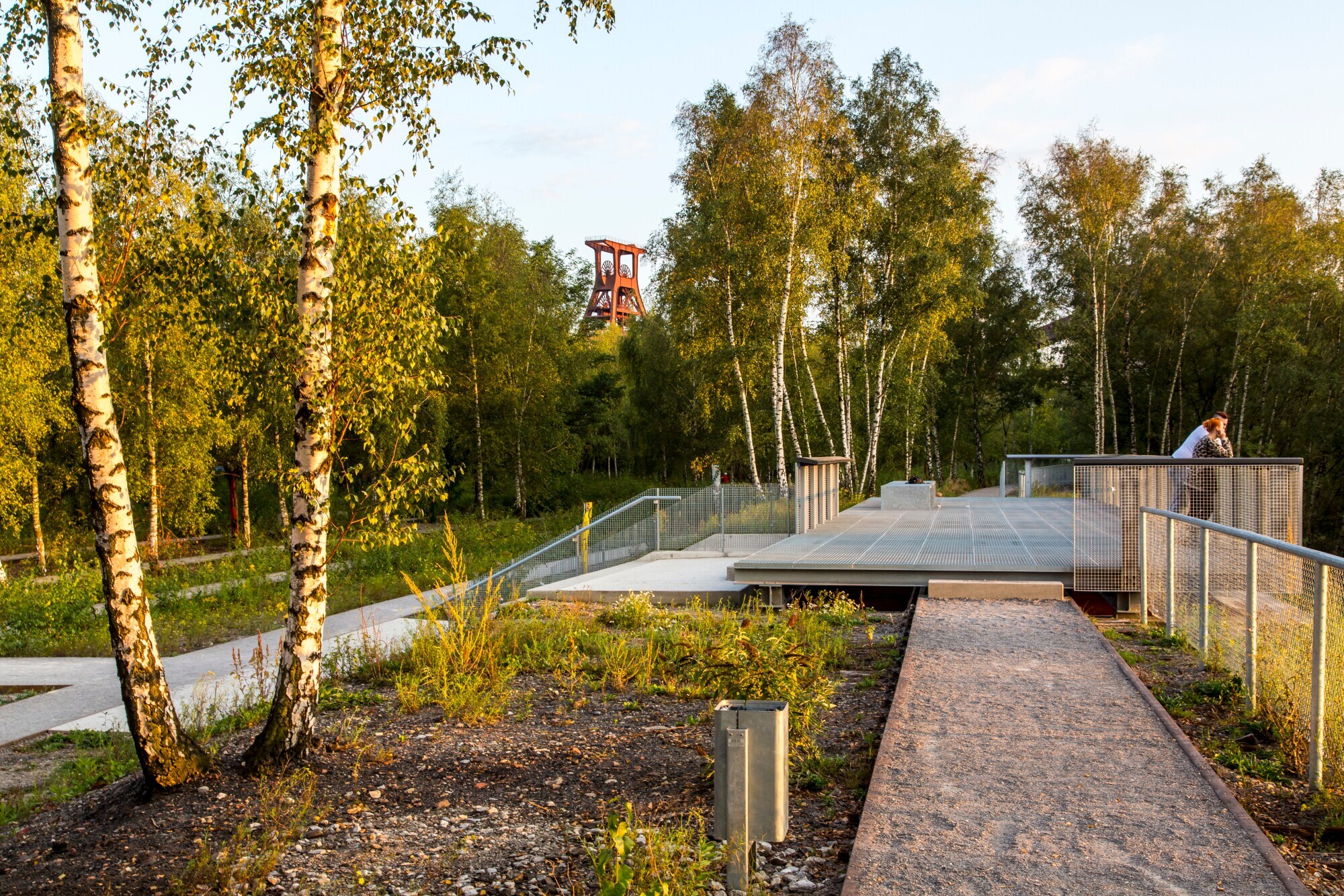 Rasenterrasse im Zollverein Park
