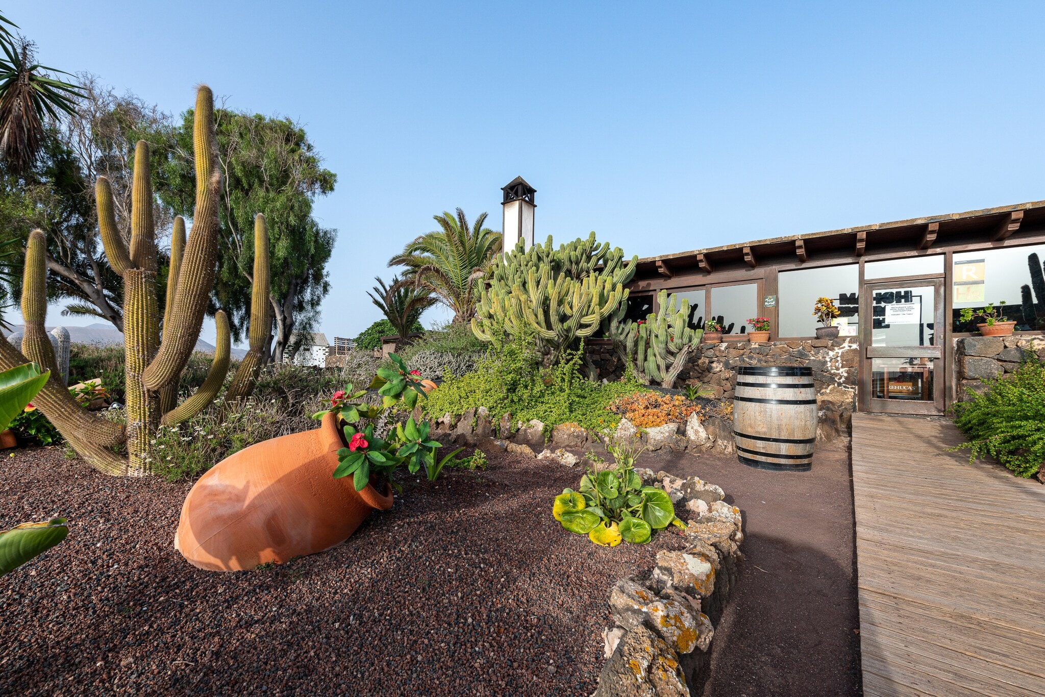 Zugang zu einem Restaurant durch einen mediterranen Garten mit Kakteen Zugang zu einem Restaurant durch einen mediterranen Garten mit Kakteen