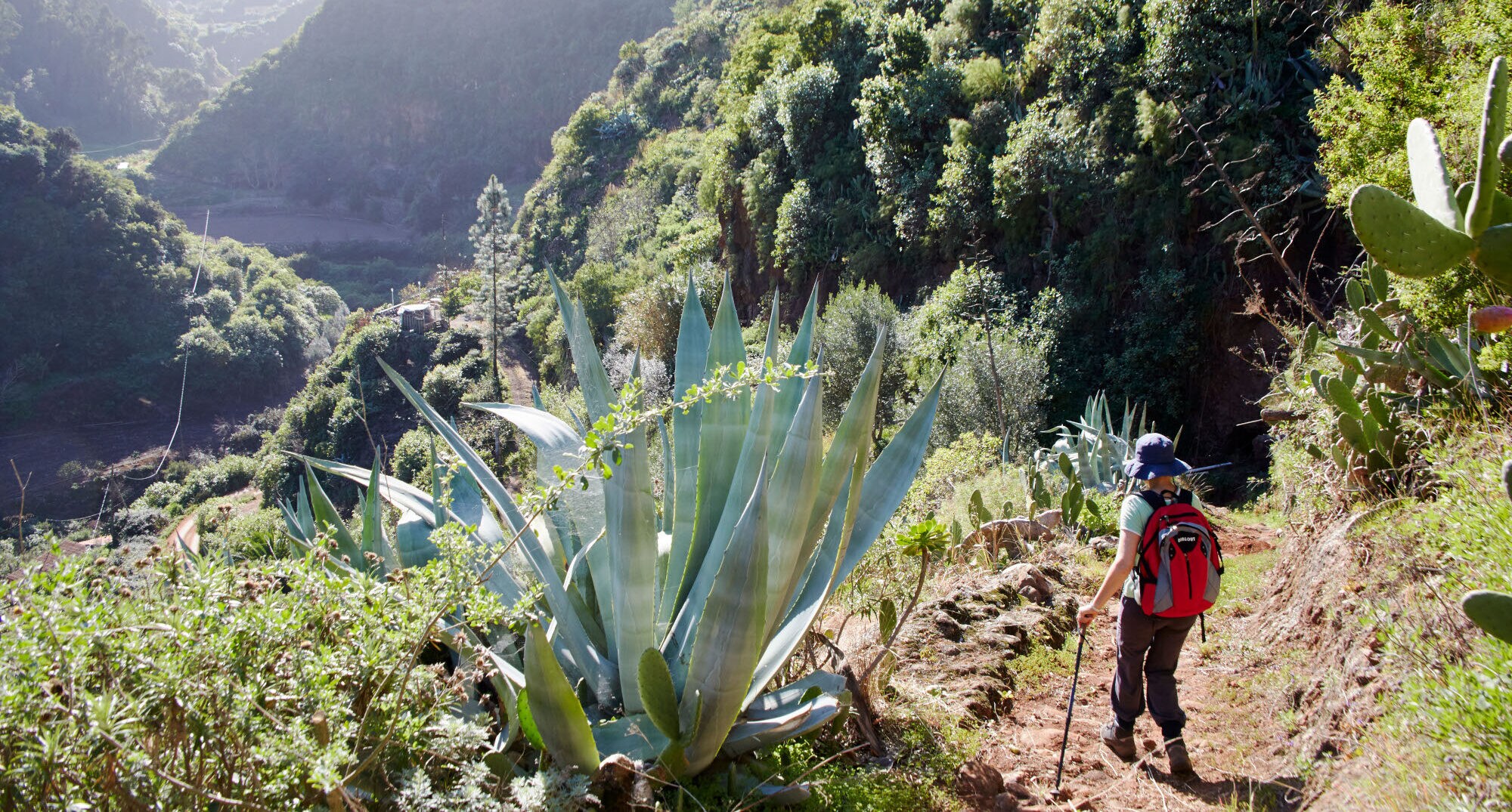Rückansicht einer Frau mit Rucksack, die durch eine subtropisch-mediterrane Berglandschaft wandert