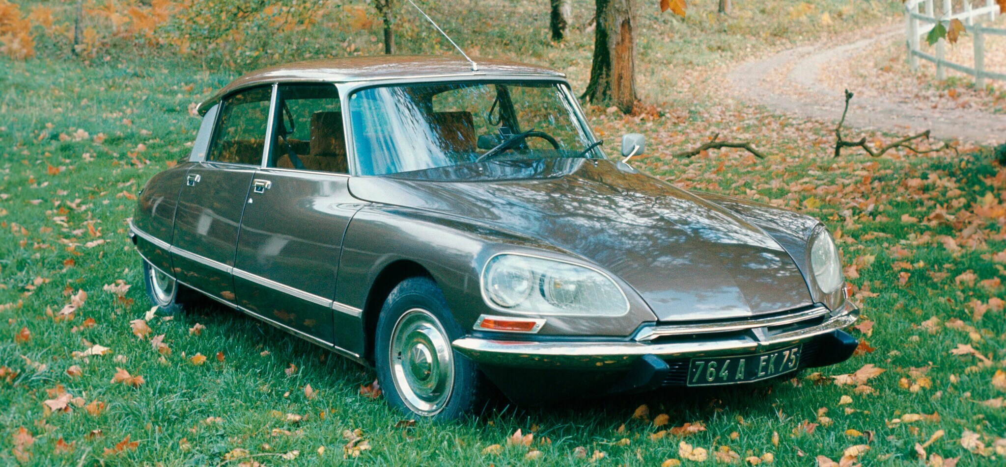 Eine Citröen DS von vorn