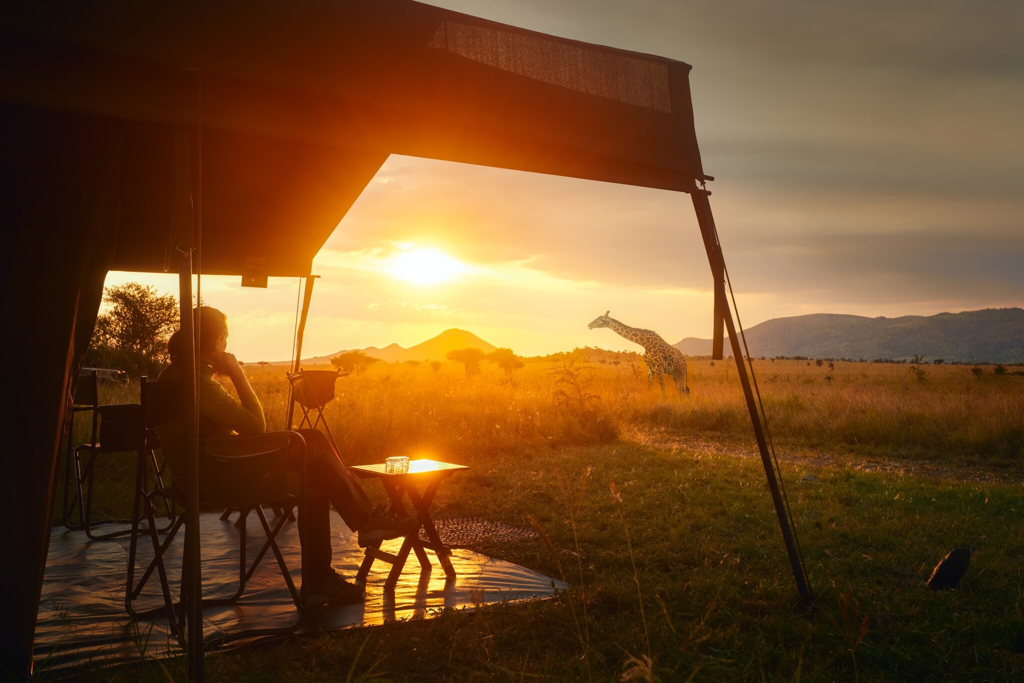Eine Frau sitzt entspannt in einem Luxuszelt in der afrikanischen Savanne im Serengeti-Nationalpark und beobachtet eine Giraffe im Sonnenuntergang Eine Frau sitzt entspannt in einem Luxuszelt in der afrikanischen Savanne im Serengeti-Nationalpark und beobachtet eine Giraffe im Sonnenuntergang