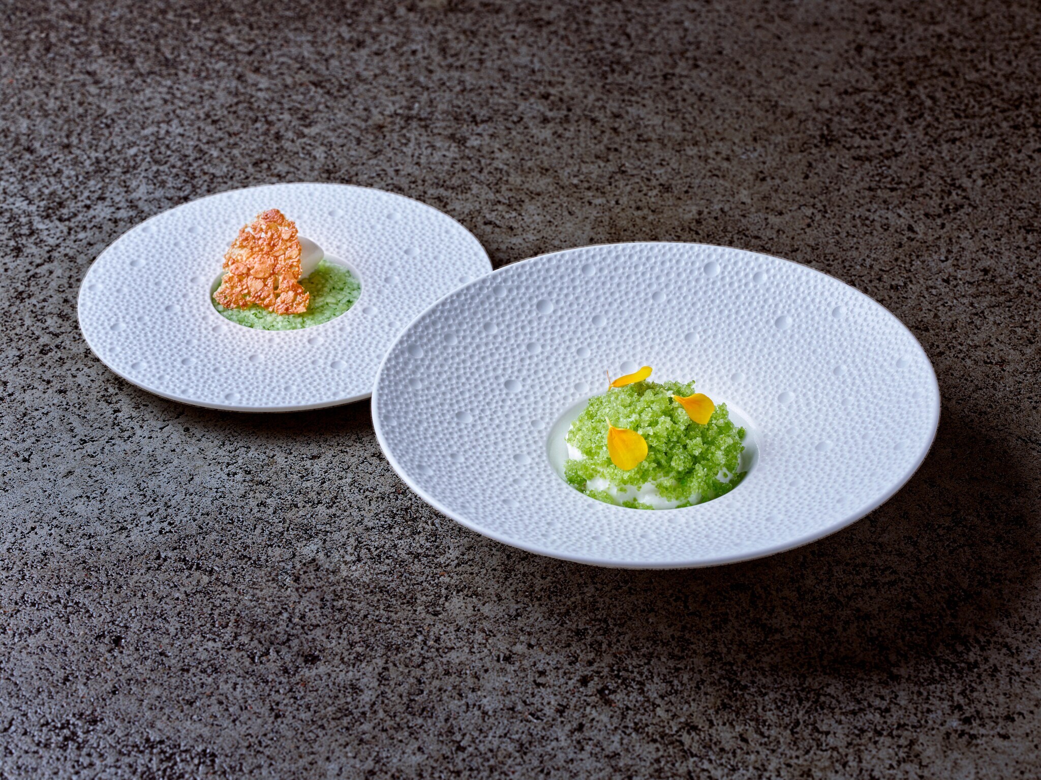 Gerichte der Haute Cuisine auf zwei weißen Tellern arrangiert