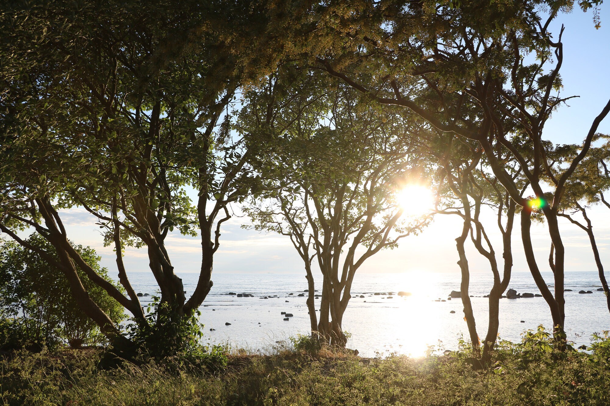 Ein Sonnenuntergang am Strand von Visby.