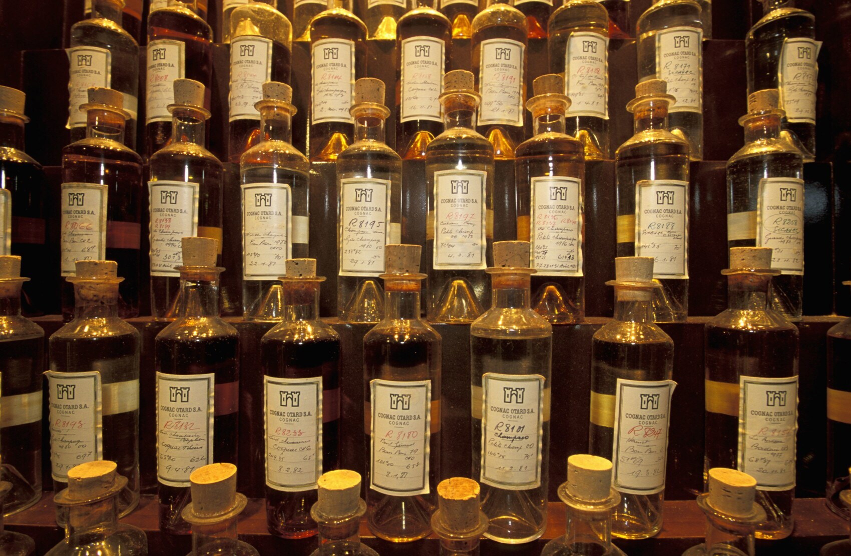 Mehrere Otard-Flaschen in einem Regal im Weinkeller